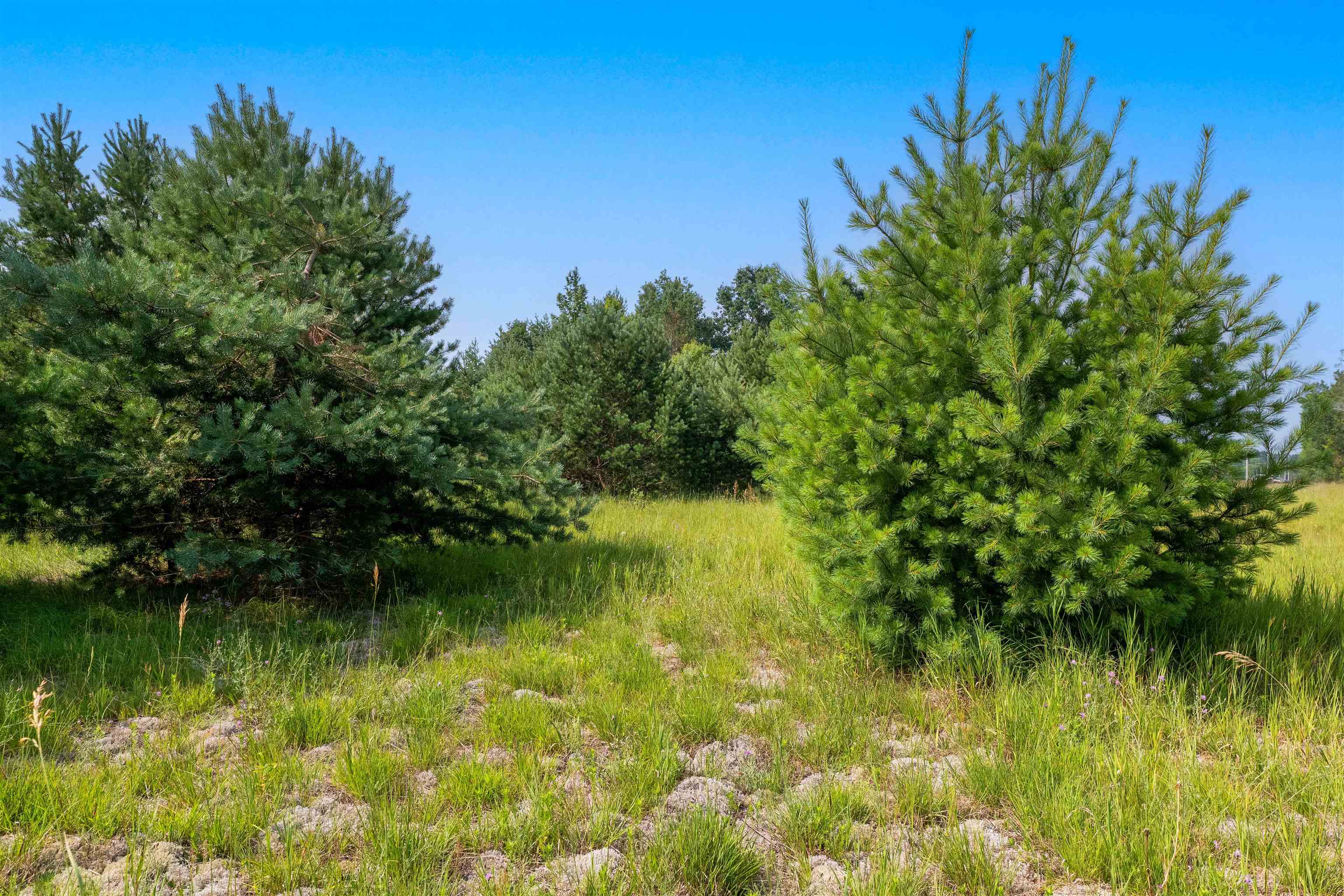 996 Motz Road Sw Property Photo 11