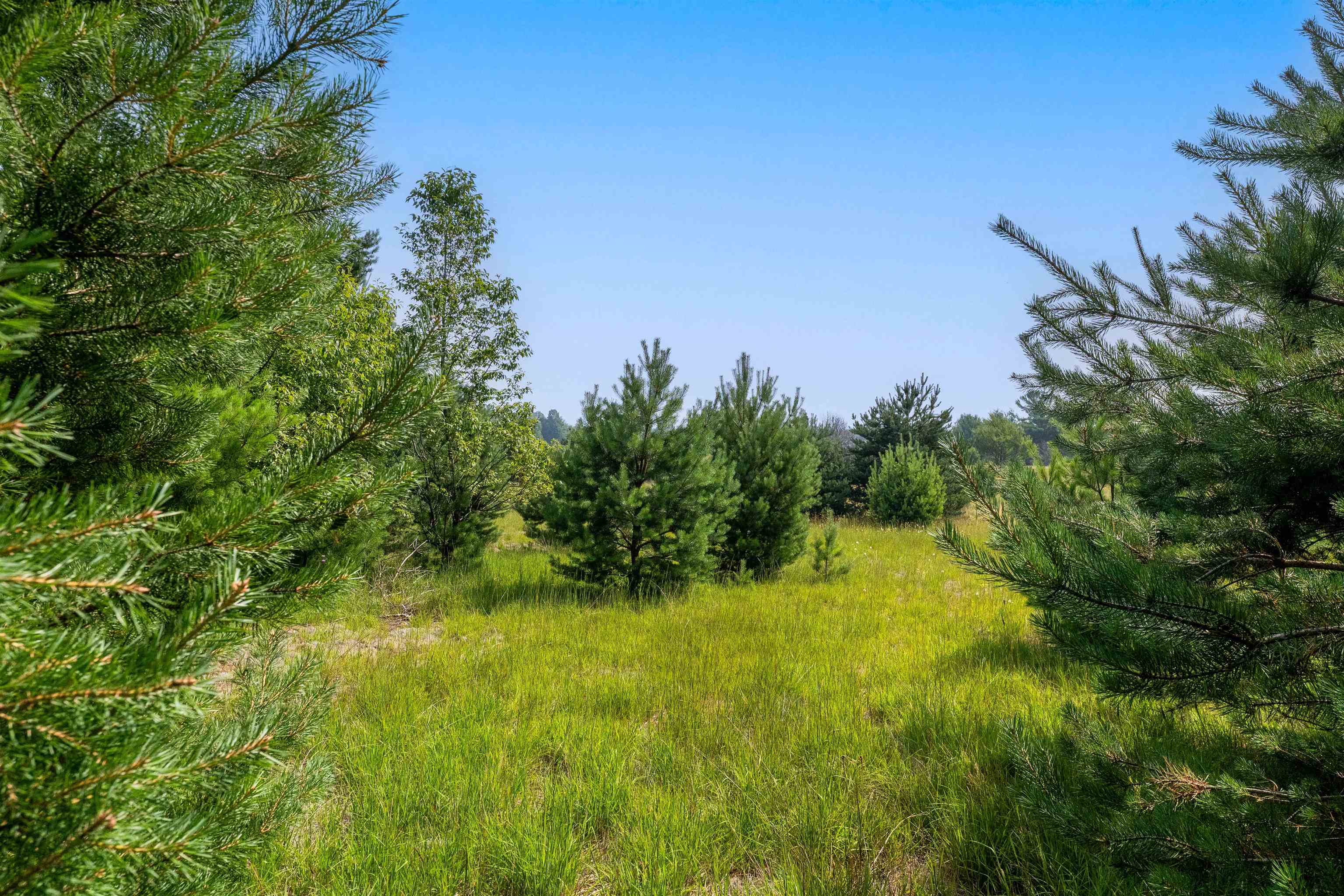 996 Motz Road Sw Property Photo 12