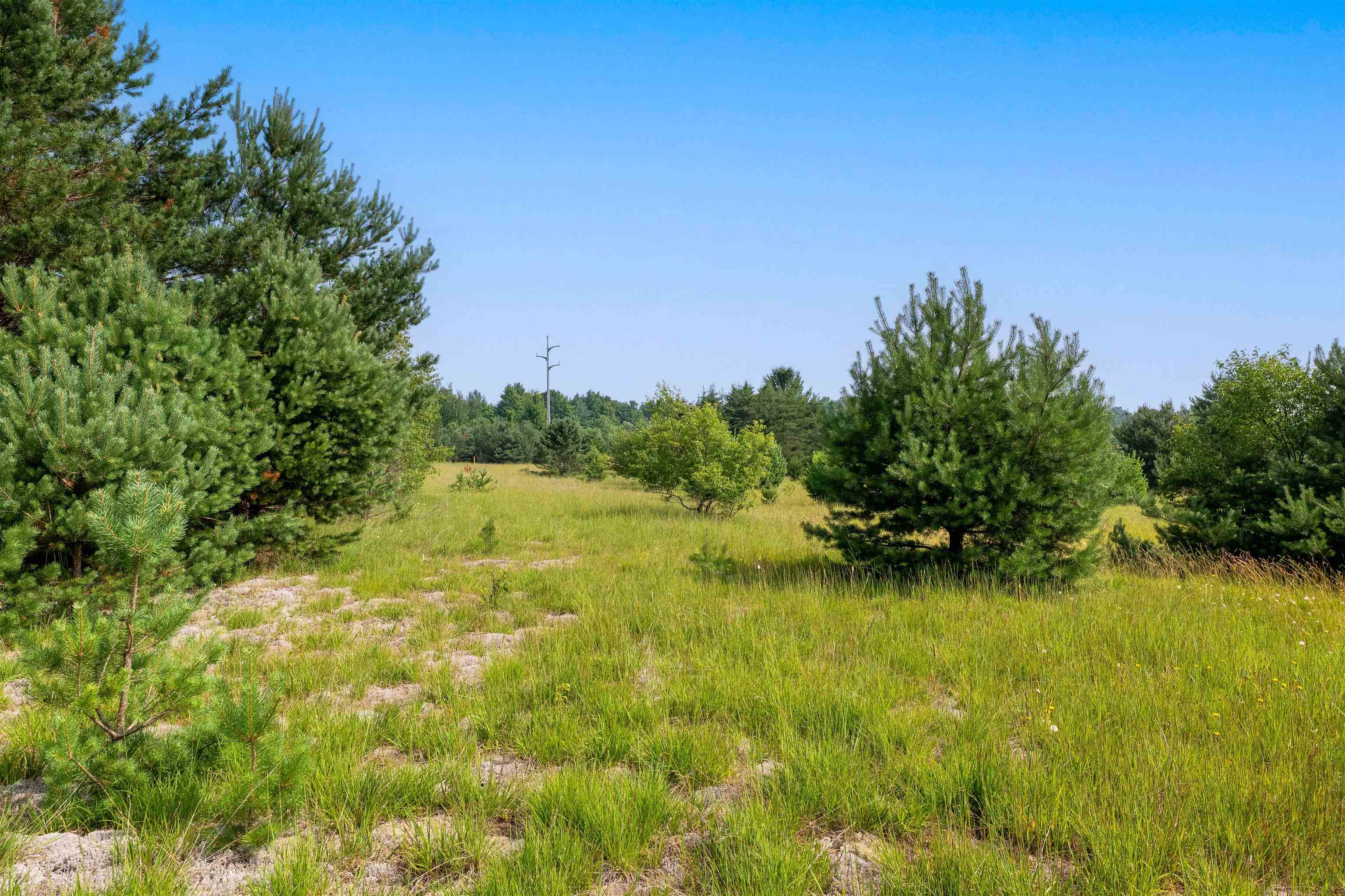 996 Motz Road Sw Property Photo 13