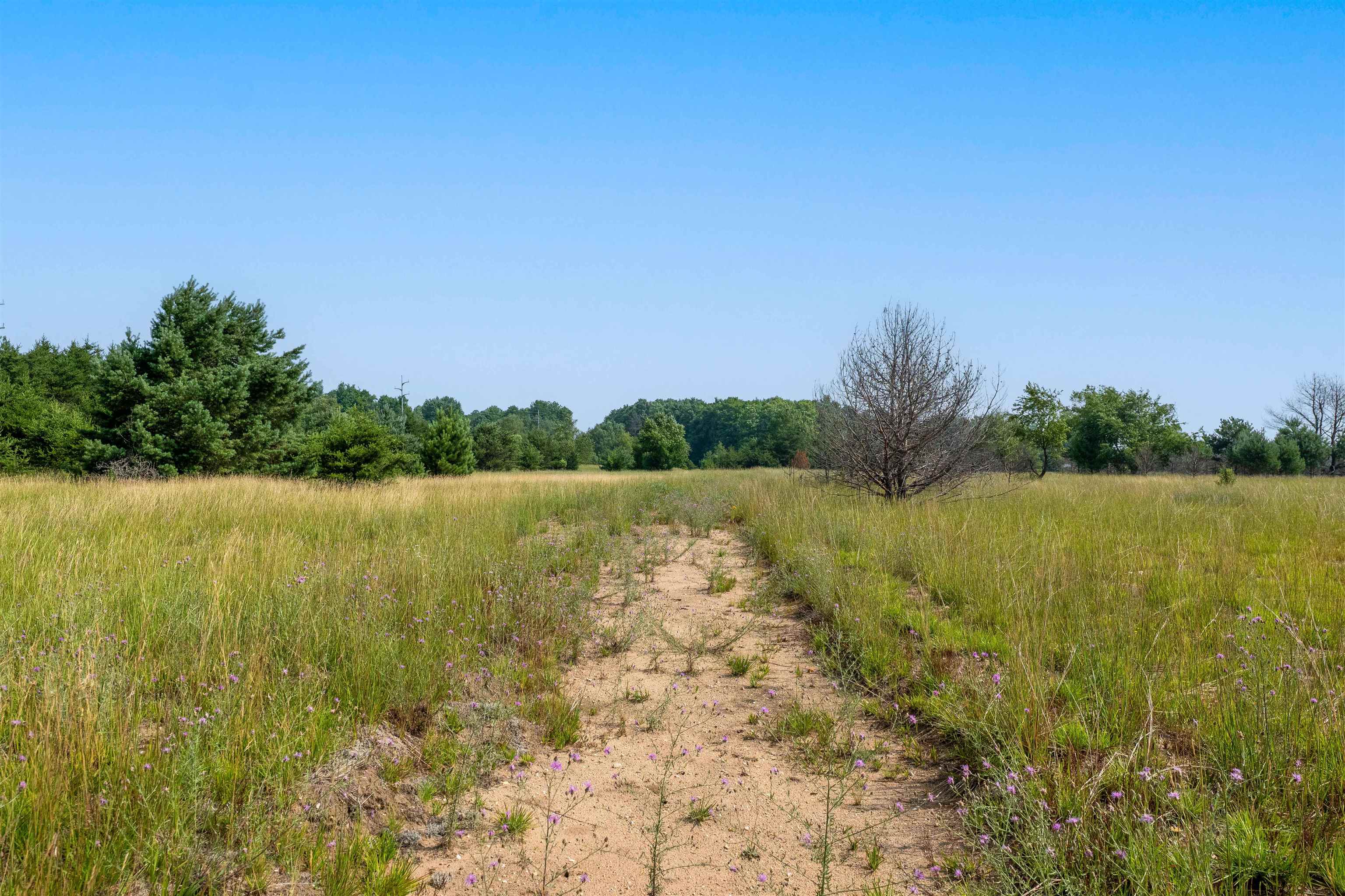 996 Motz Road Sw Property Photo 14