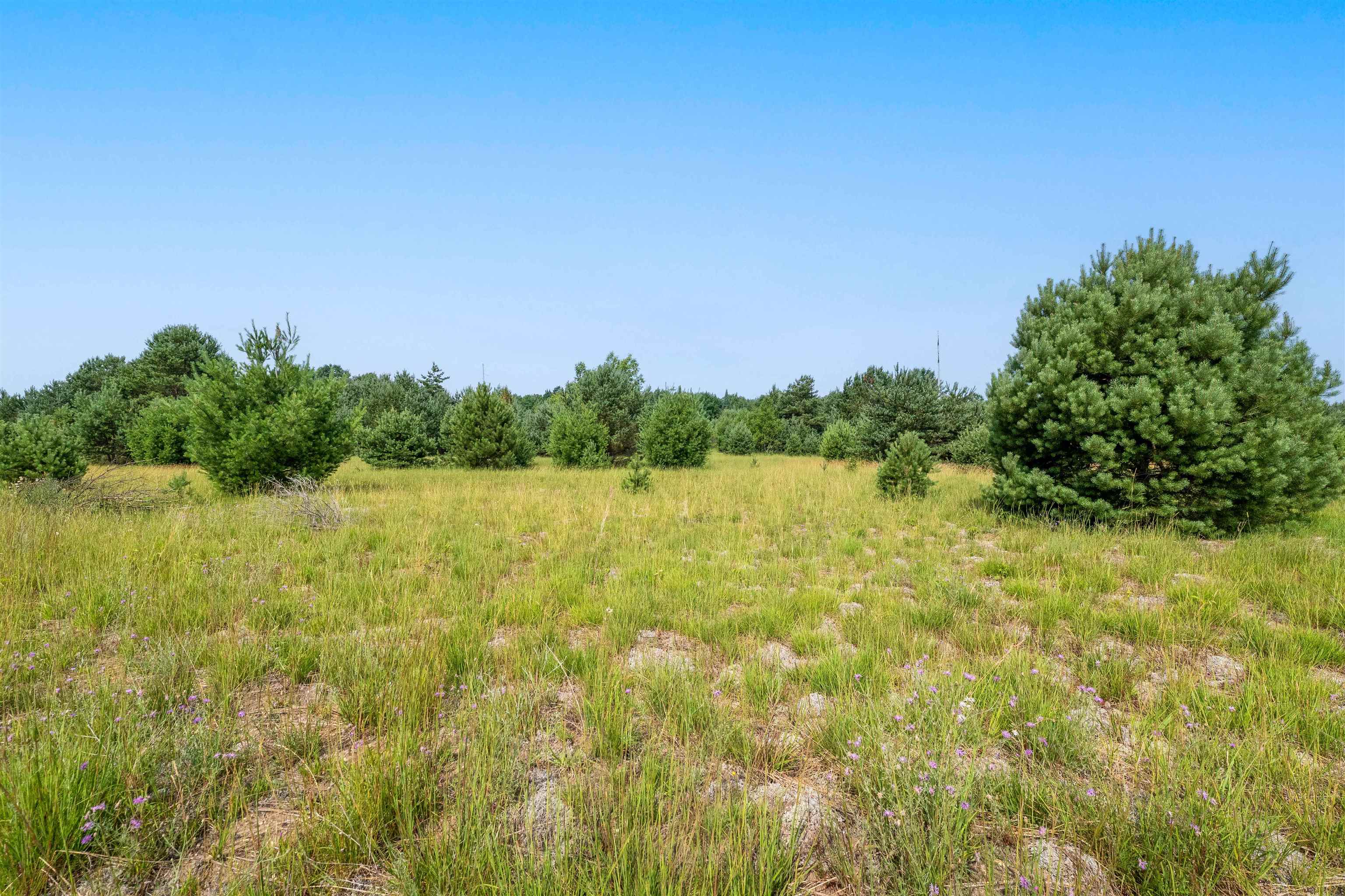 996 Motz Road Sw Property Photo 15