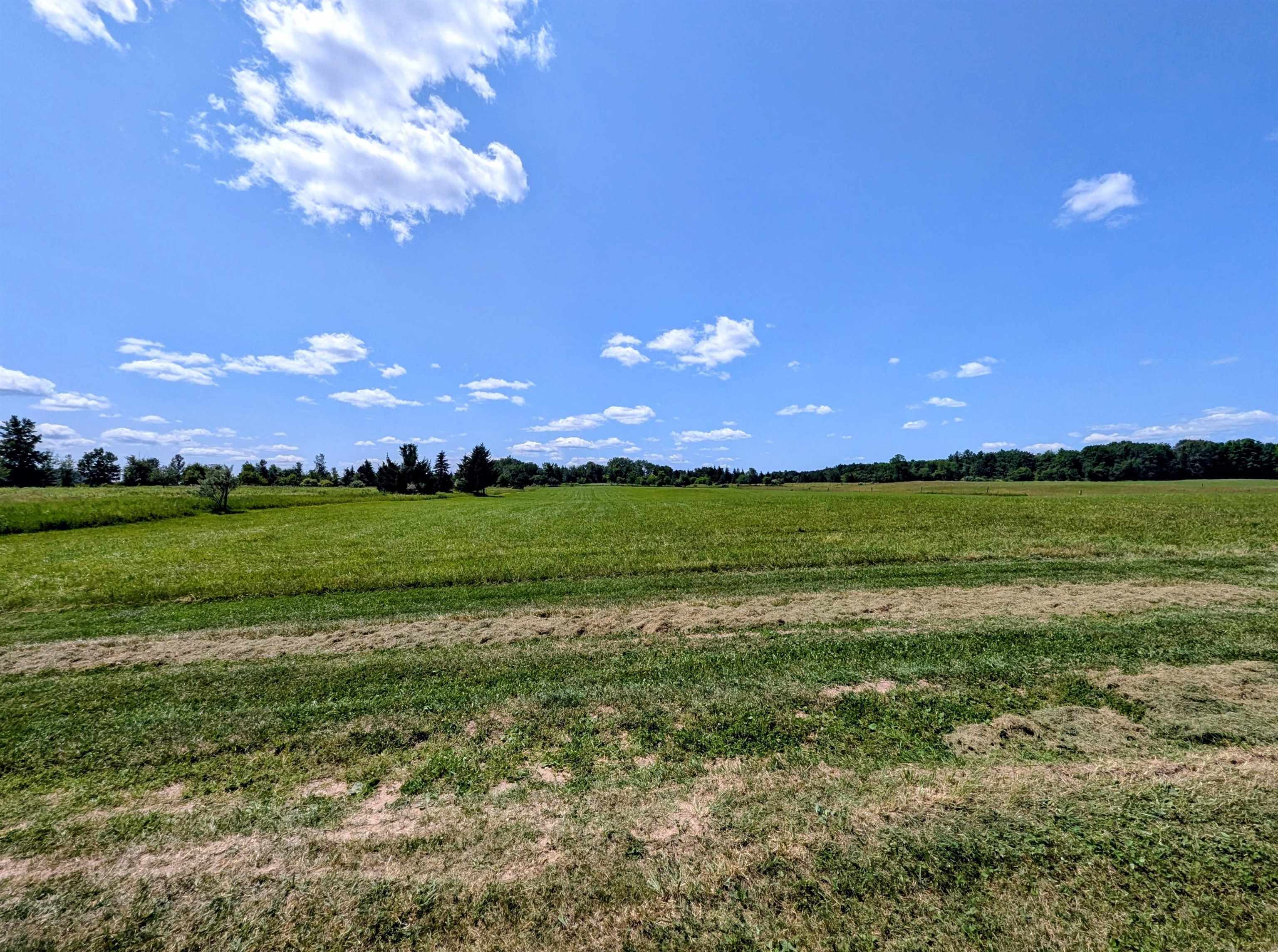 1177 Melita Road Property Photo 16