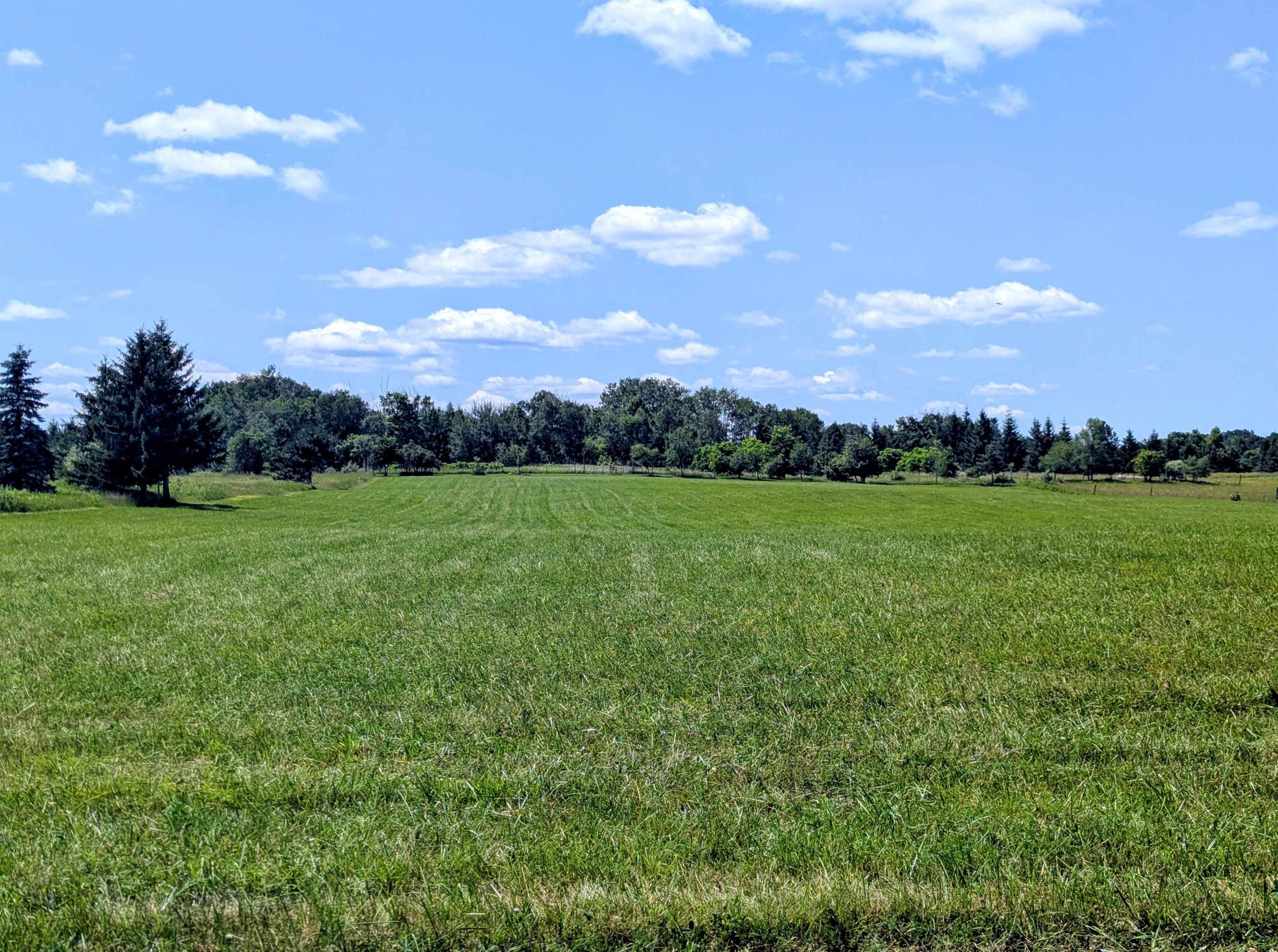 1177 Melita Road Property Photo 17