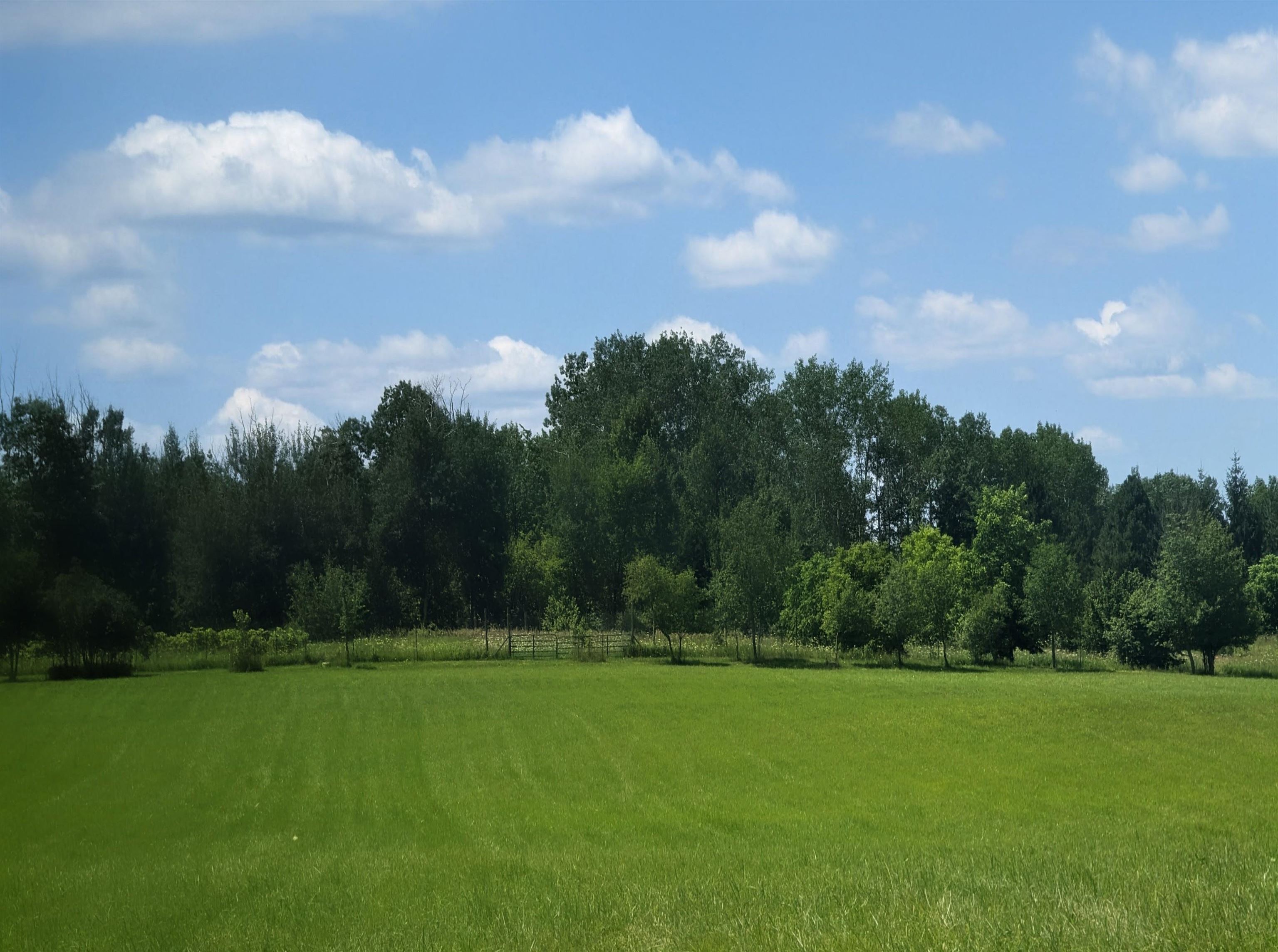 1177 Melita Road Property Photo 19