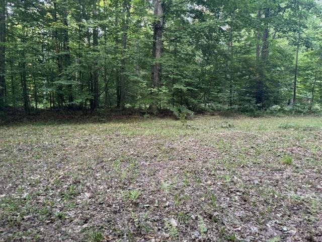 V/l Phelps Road Property Photo 3