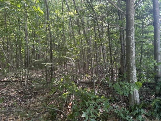 V/l Phelps Road Property Photo 7