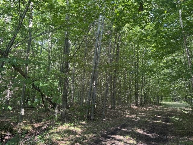 V/l Phelps Road Property Photo 10