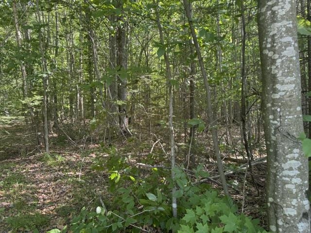V/l Phelps Road Property Photo 11