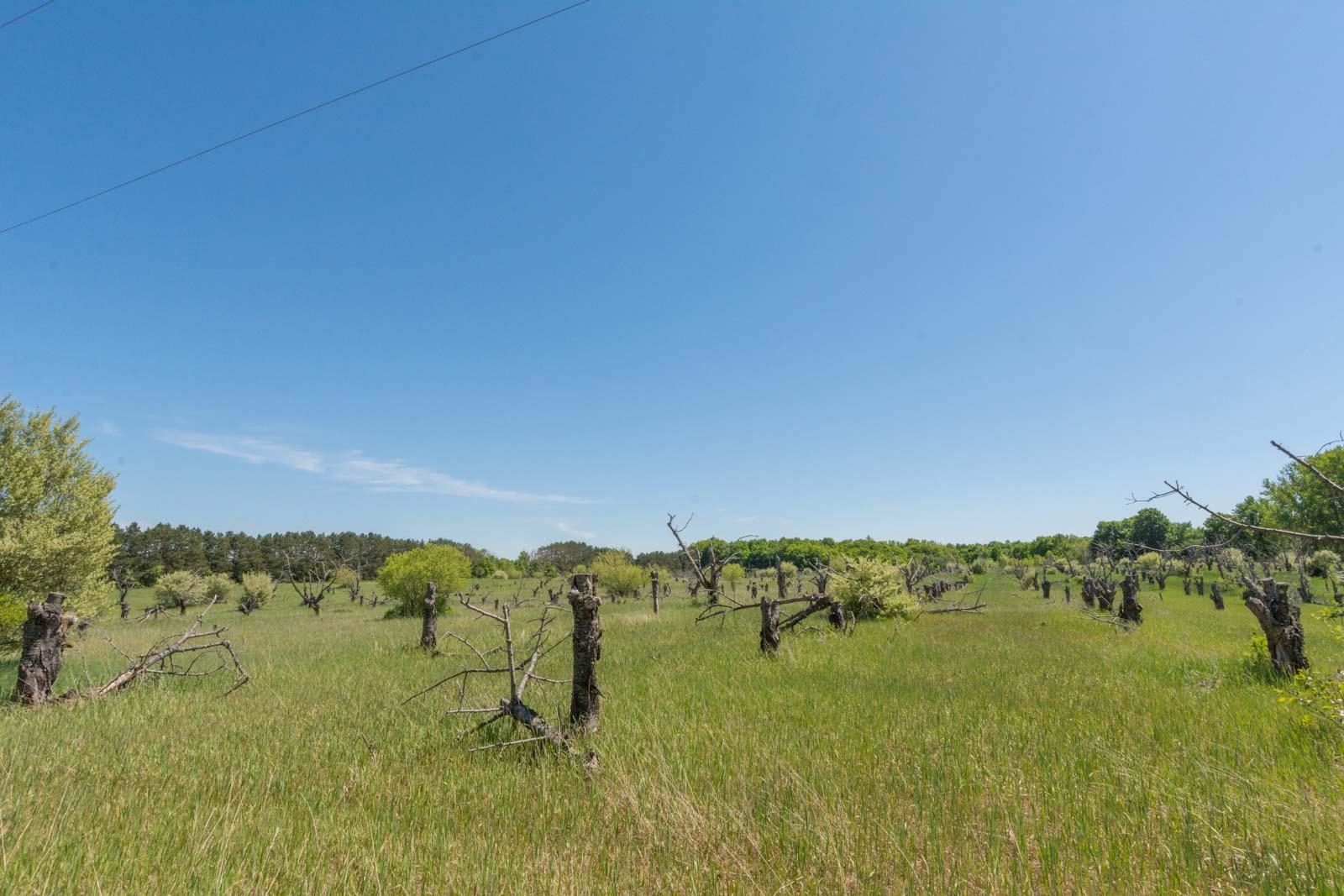 0000 W Ryant Road Property Photo 8