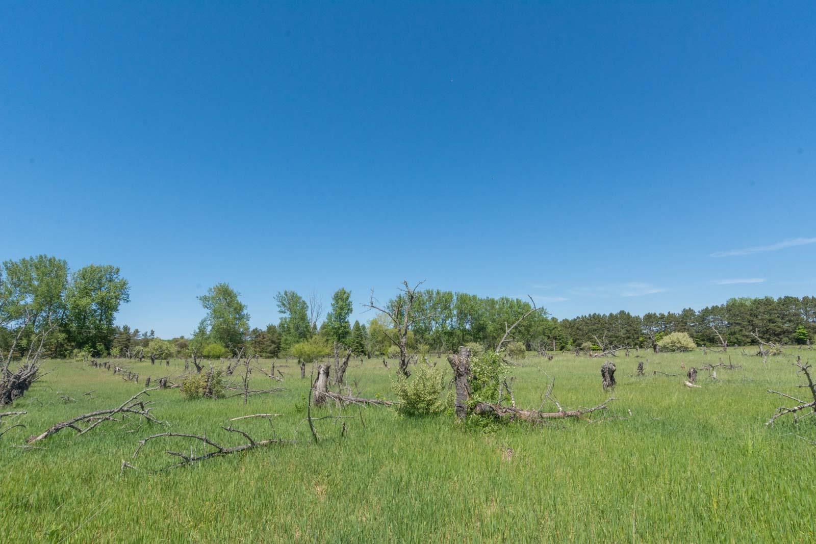 0000 W Ryant Road Property Photo 11
