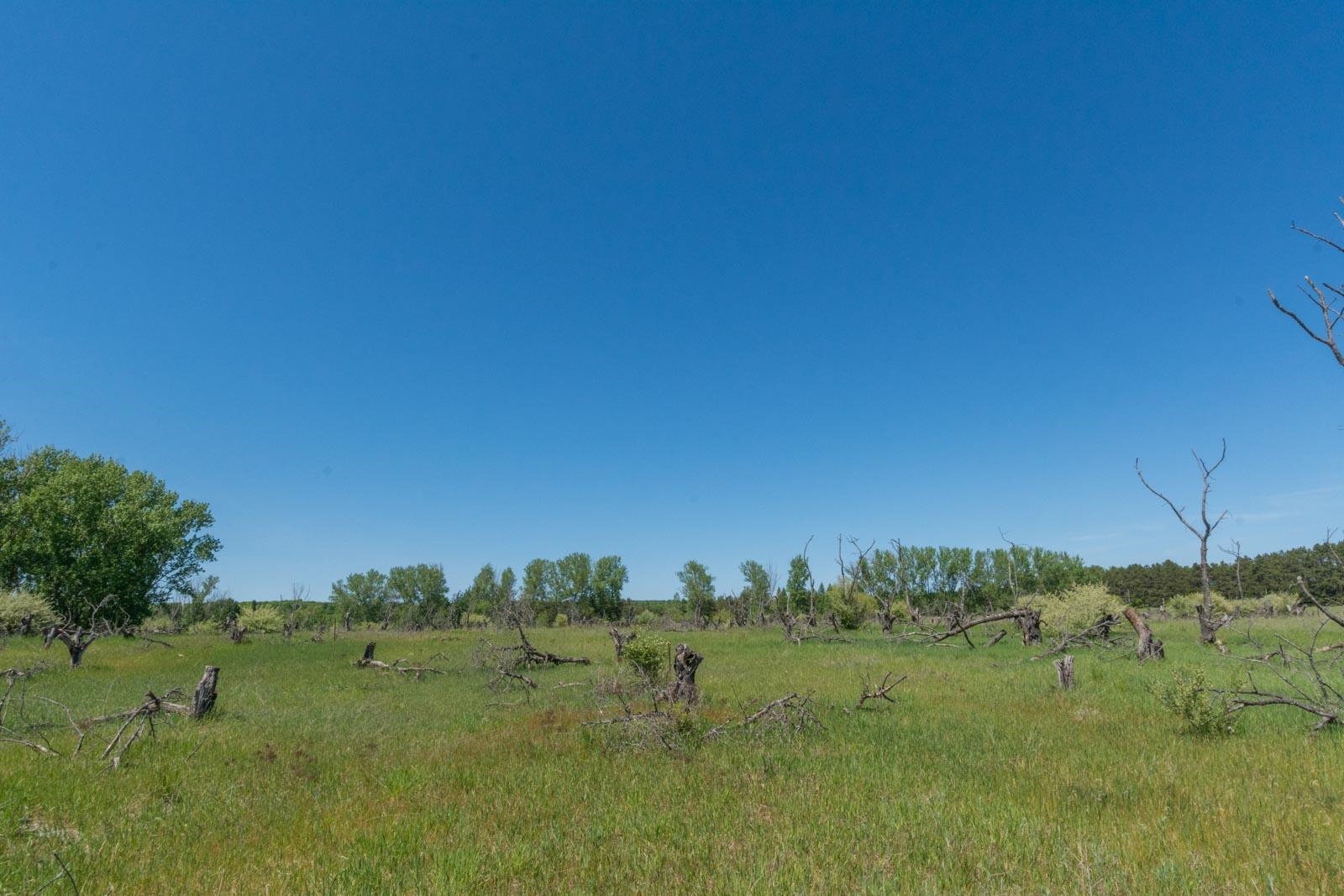 0000 W Ryant Road Property Photo 14