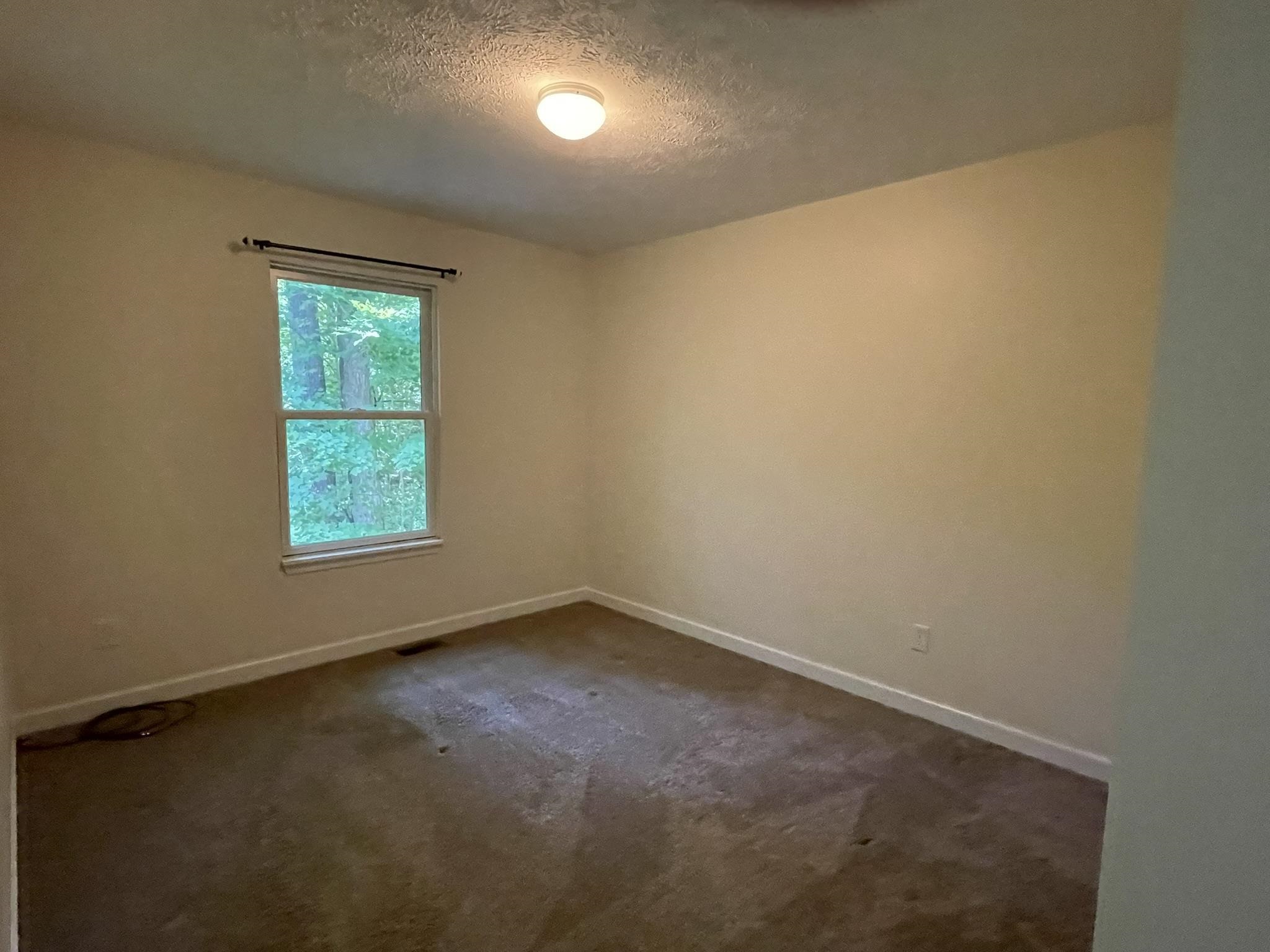 7430 River Street Property Photo 15