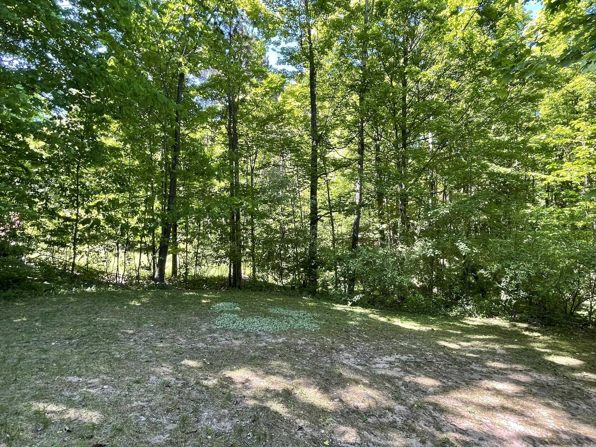 7430 River Street Property Photo 41