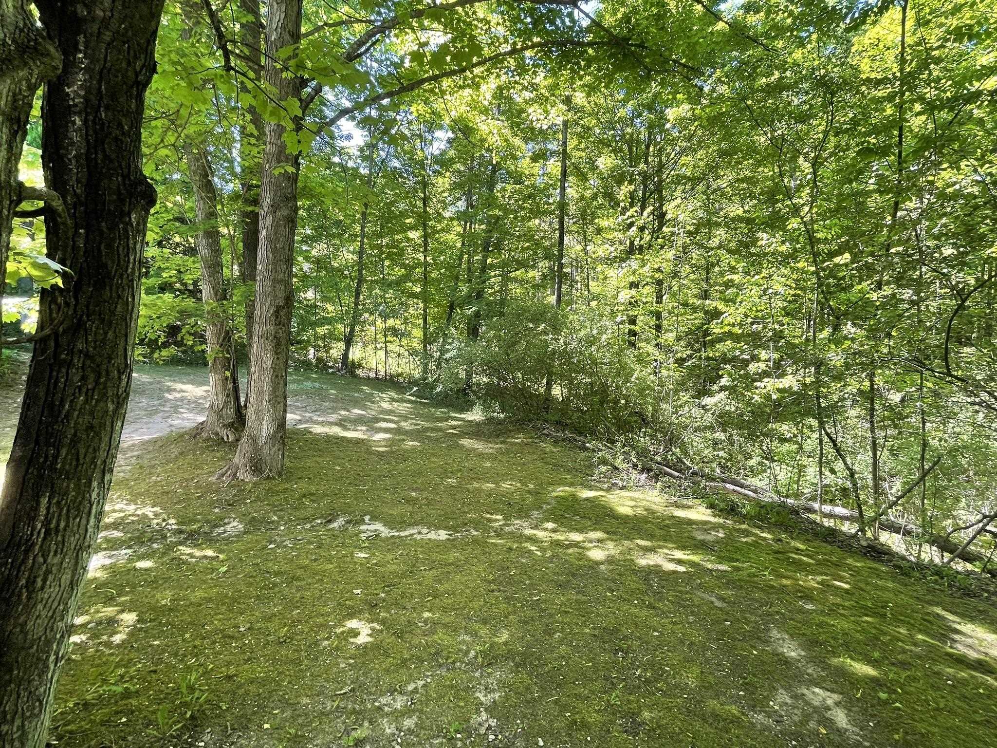 7430 River Street Property Photo 43