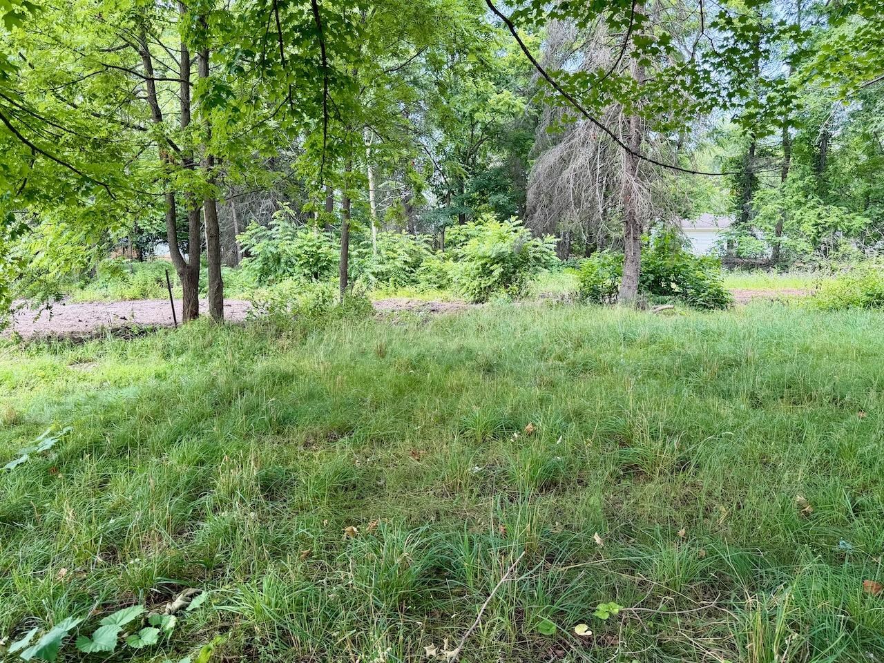 Lot 33 Buckley Property Photo 1