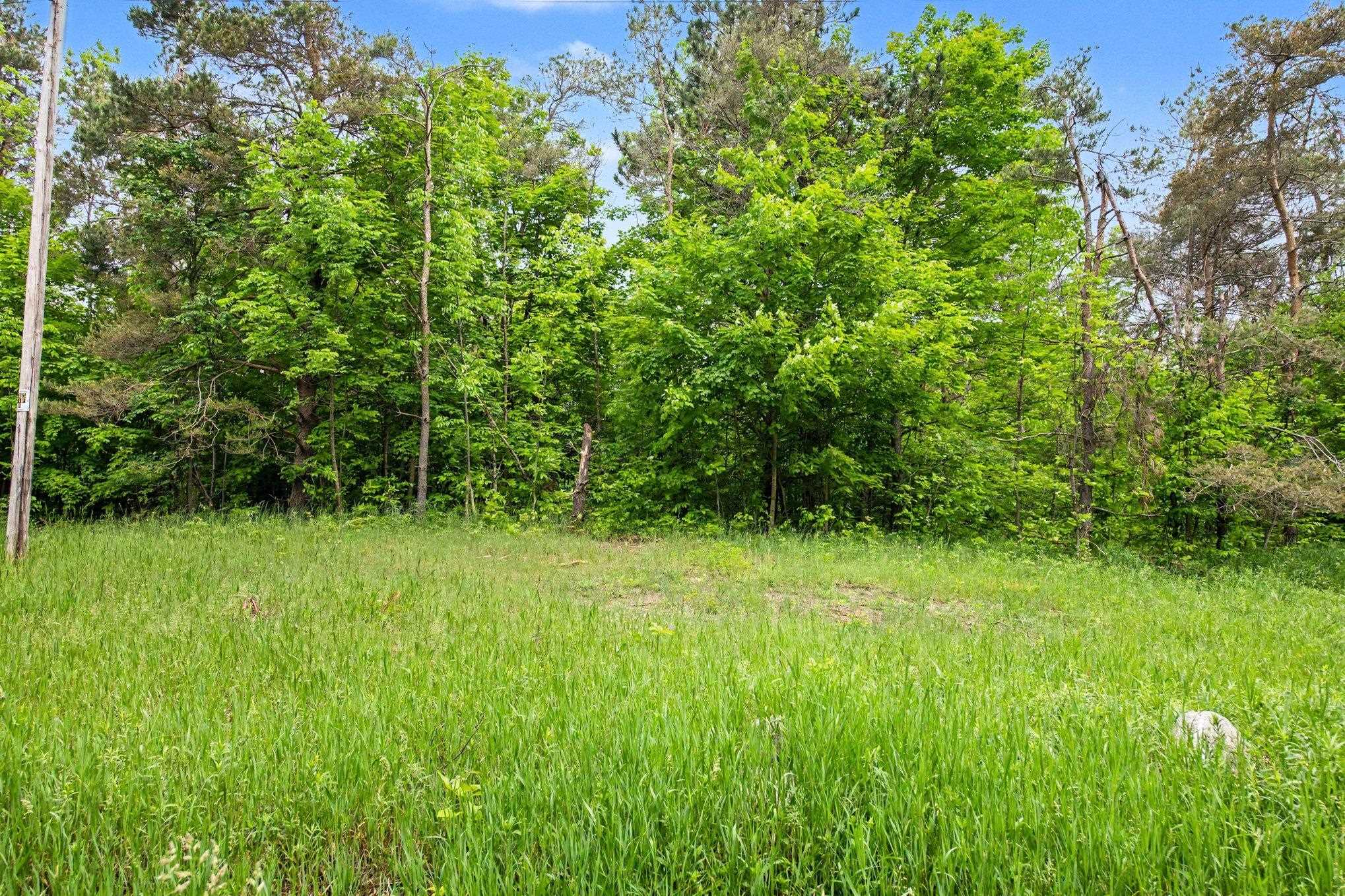 Vl Robinson Road Property Photo 6