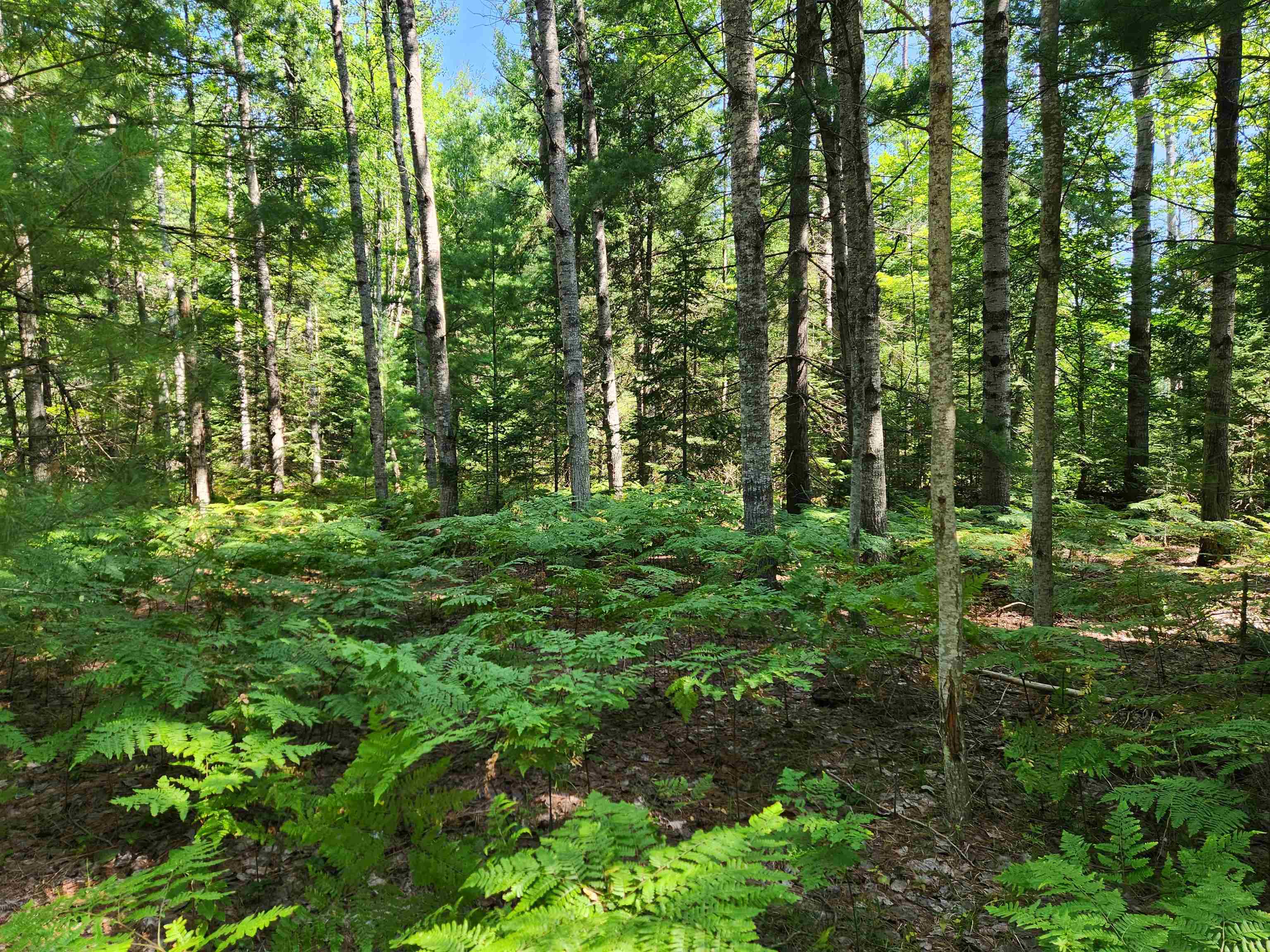 10 Acres Christie Drive Property Photo 3