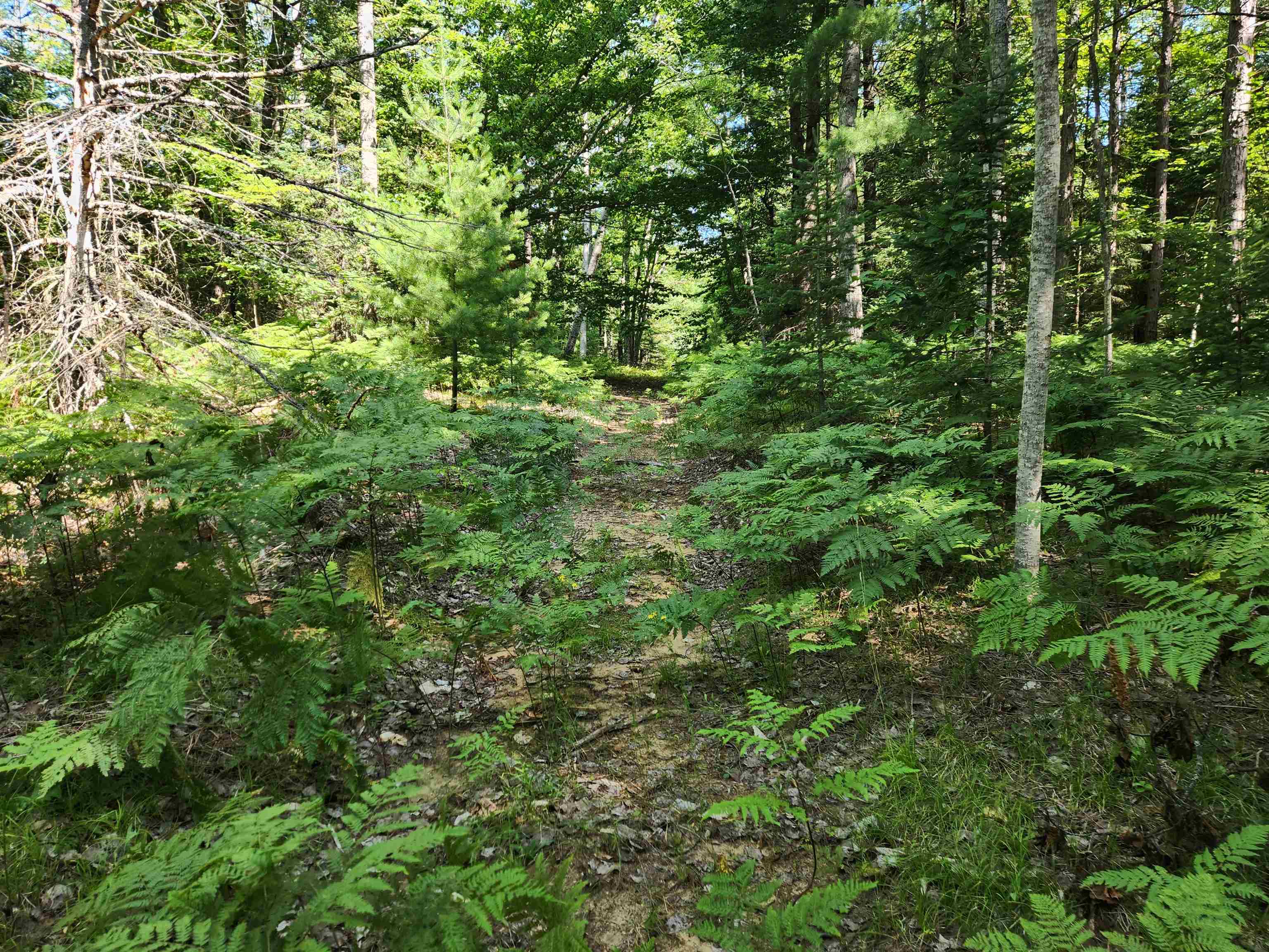 10 Acres Christie Drive Property Photo 8