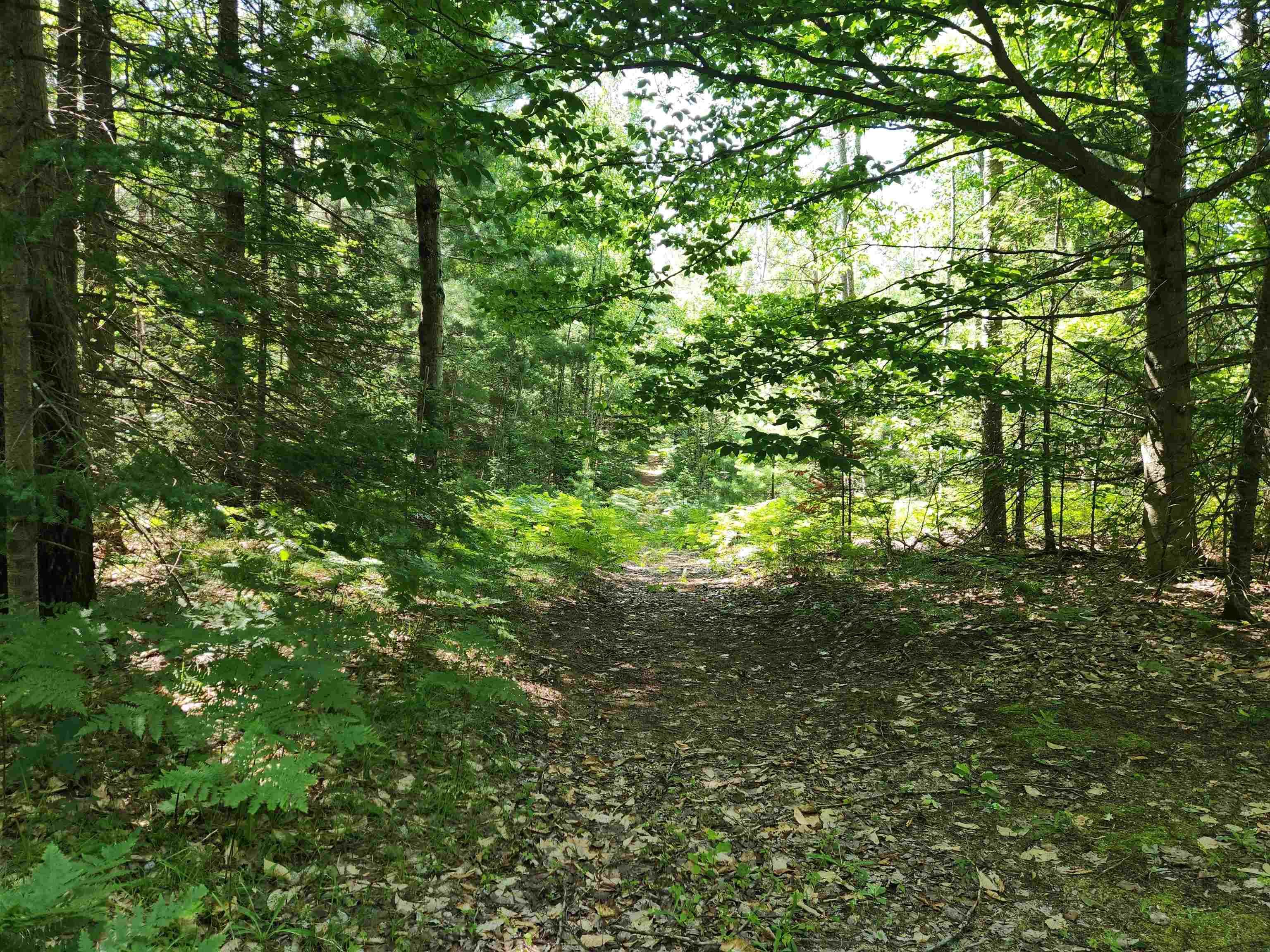 10 Acres Christie Drive Property Photo 11