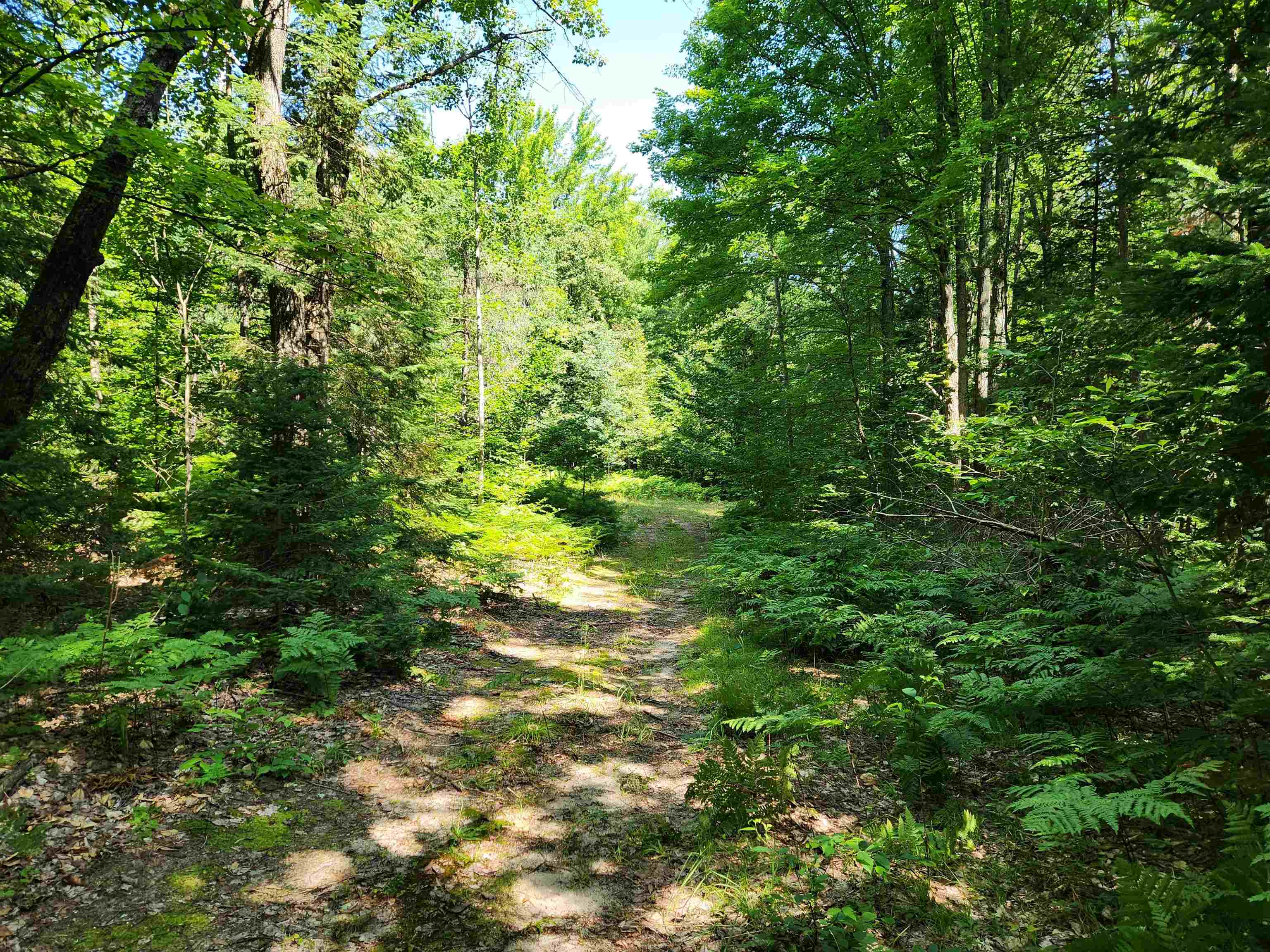 10 Acres Christie Drive Property Photo 12