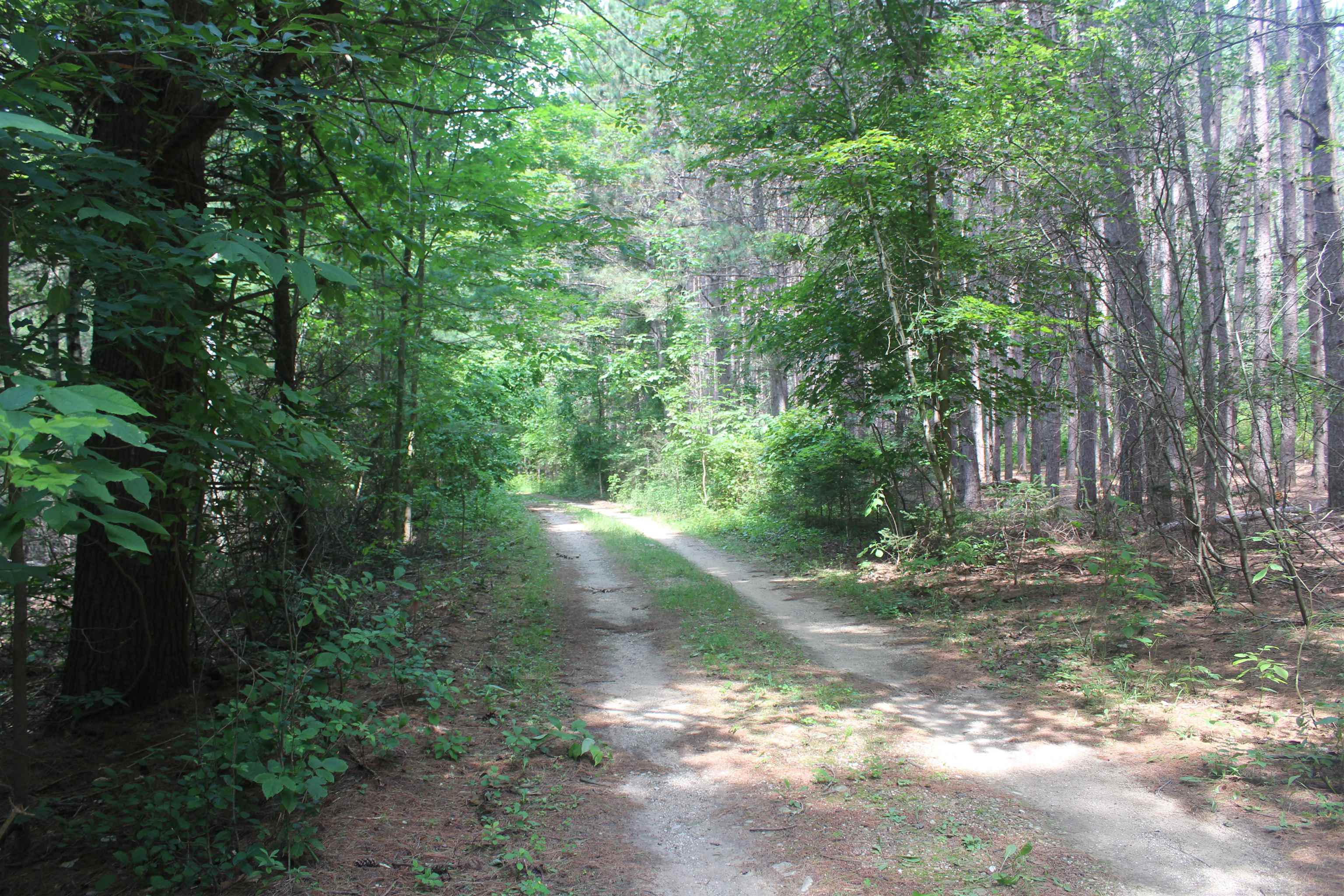 0 Whitefish Trail Property Photo 1