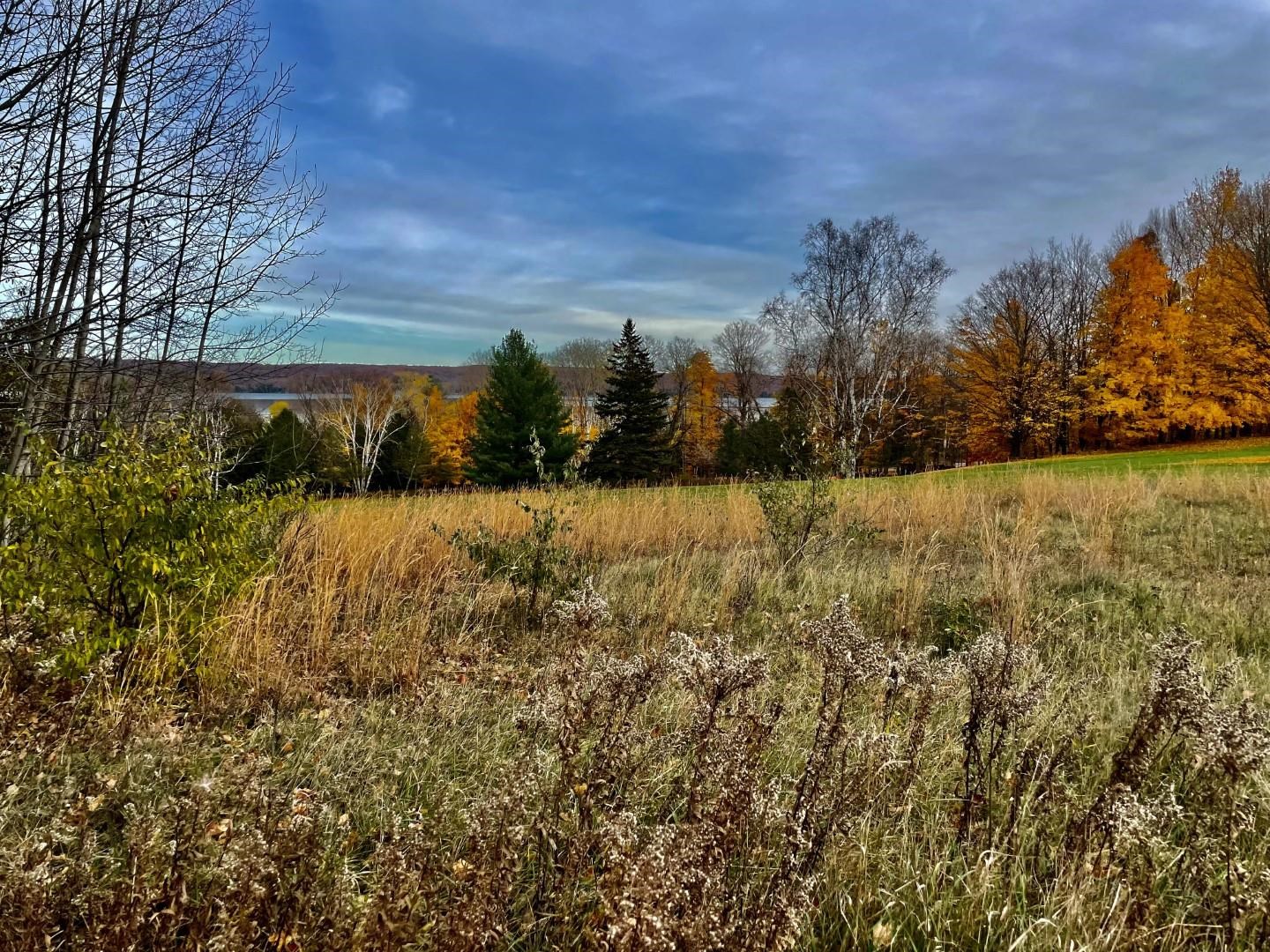 000 Lakeview Trail Property Photo 33