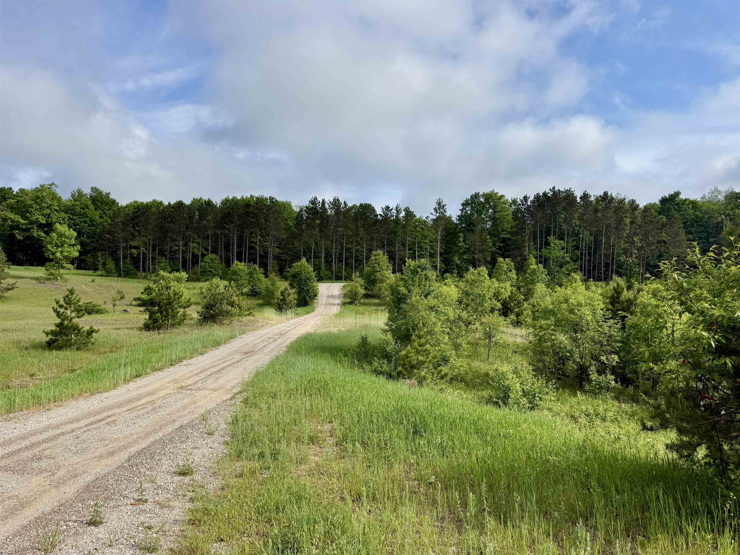 A5 & A9 E Kasson Road Property Photo 13