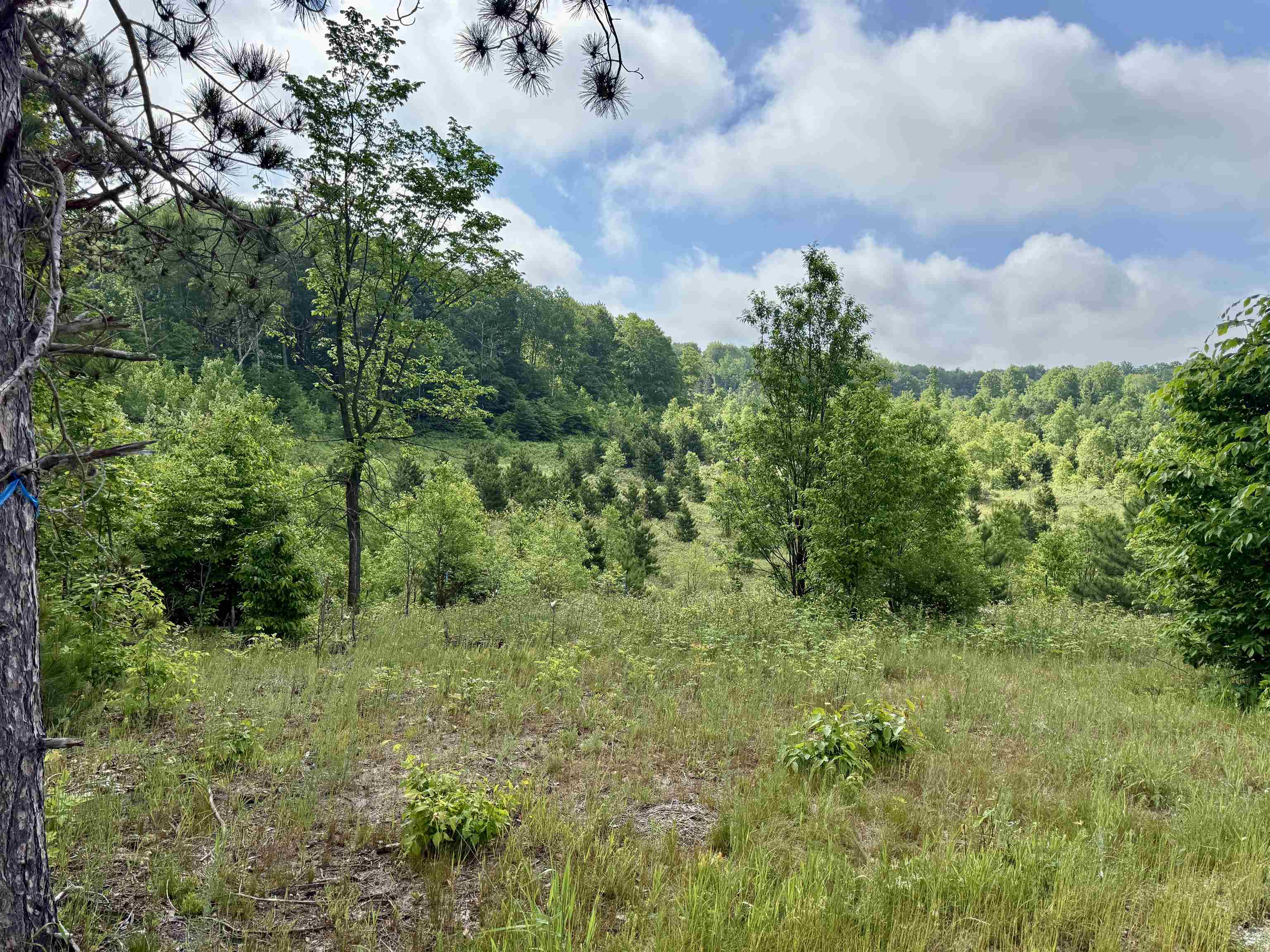 A5 & A9 E Kasson Road Property Photo 14