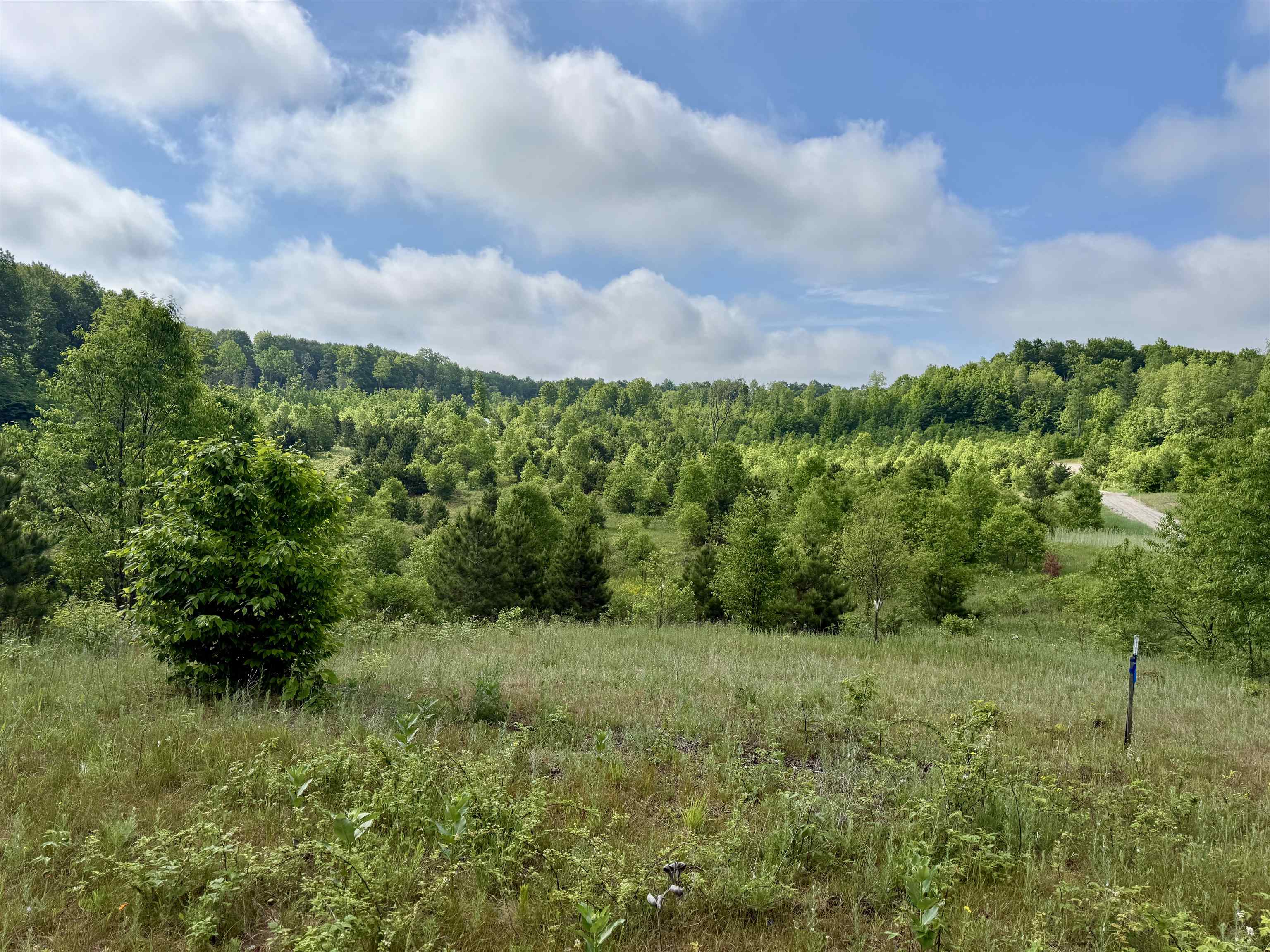 A5 & A9 E Kasson Road Property Photo 19