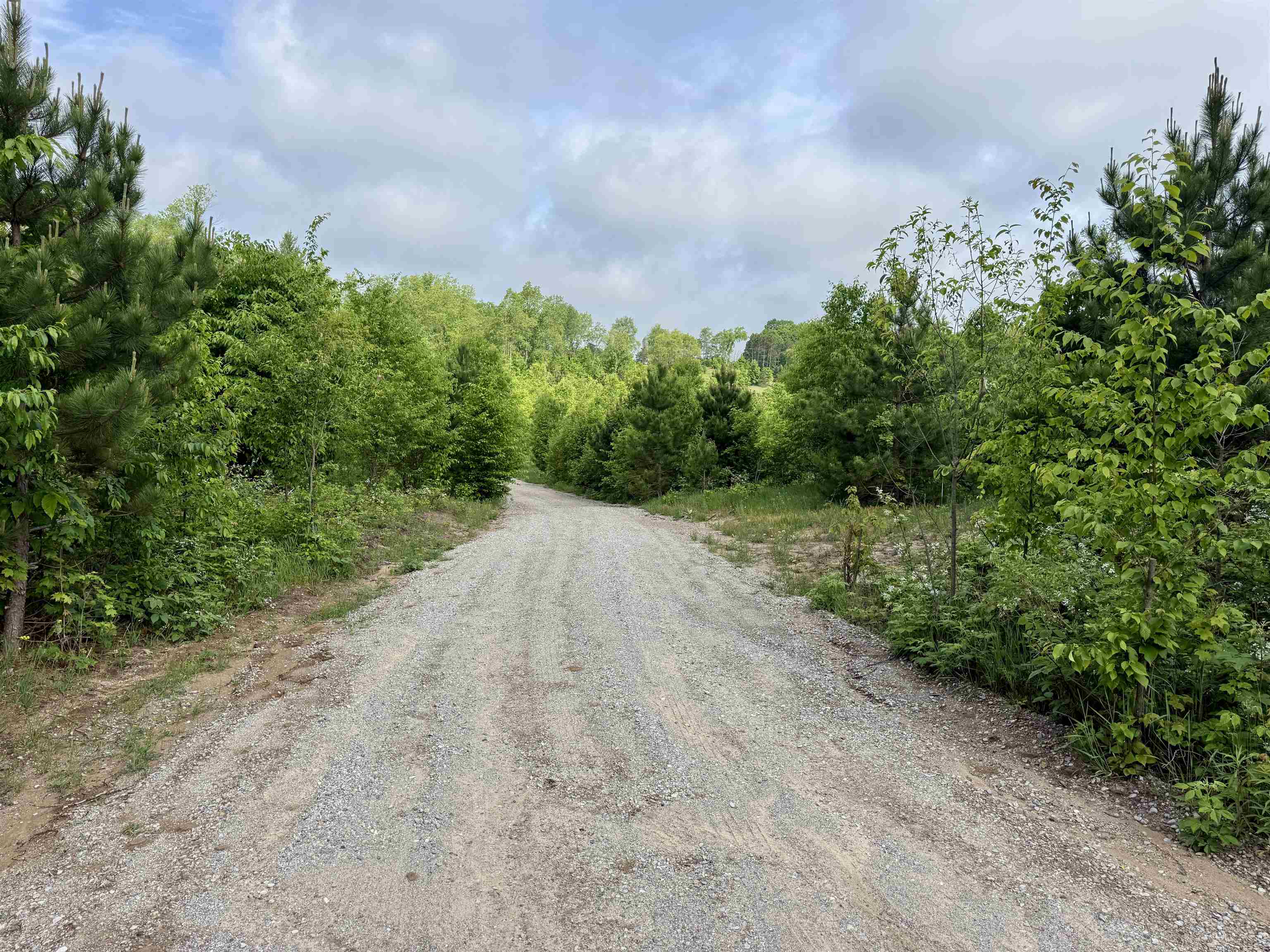 A5 & A9 E Kasson Road Property Photo 22