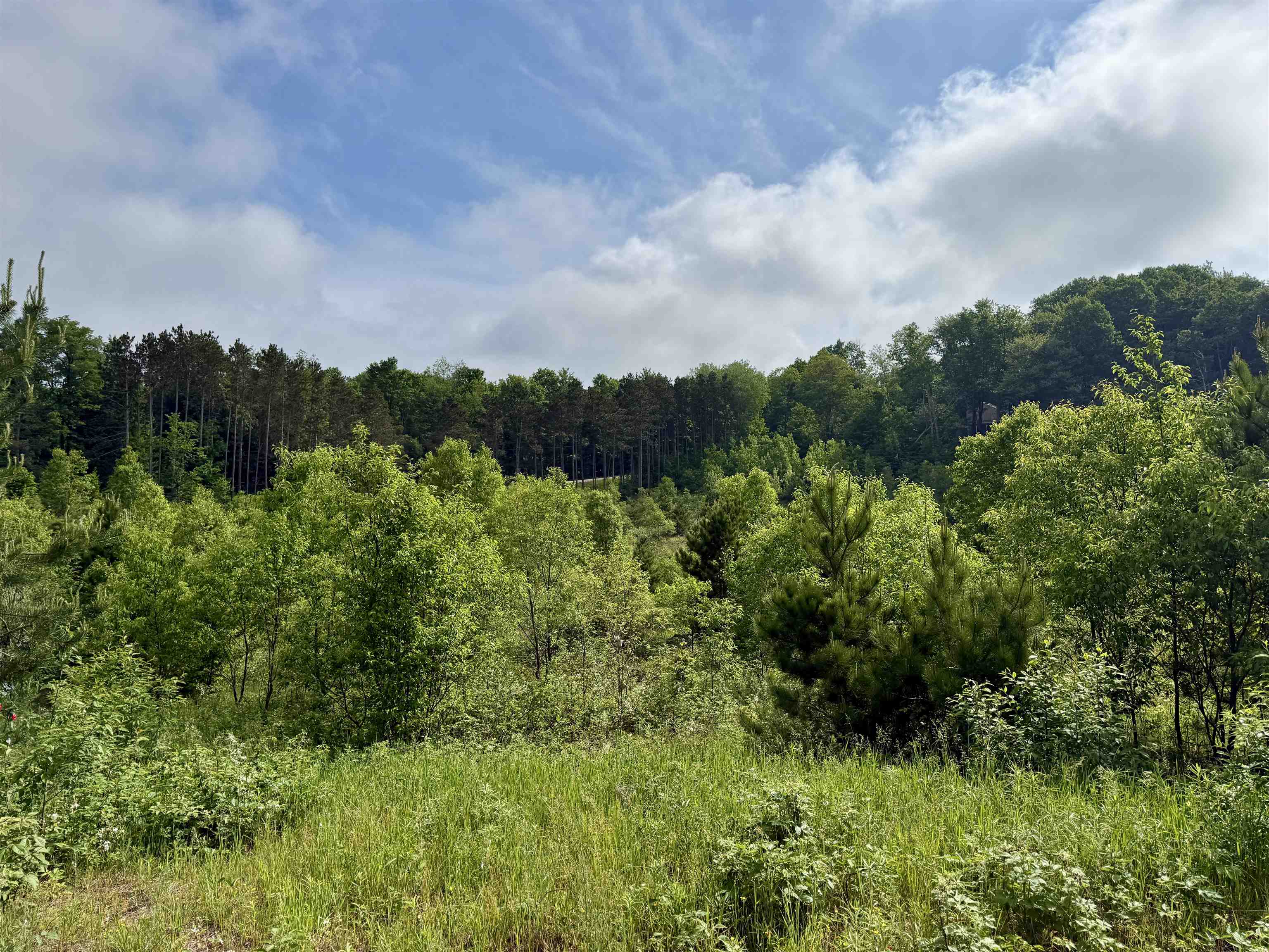 A5 & A9 E Kasson Road Property Photo 23