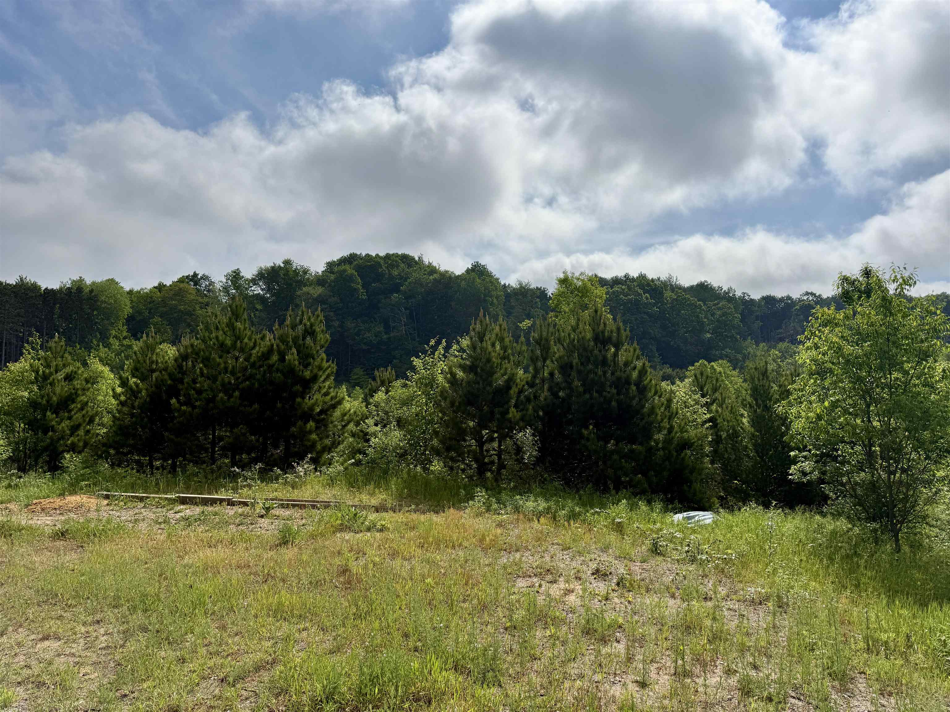 A5 & A9 E Kasson Road Property Photo 24
