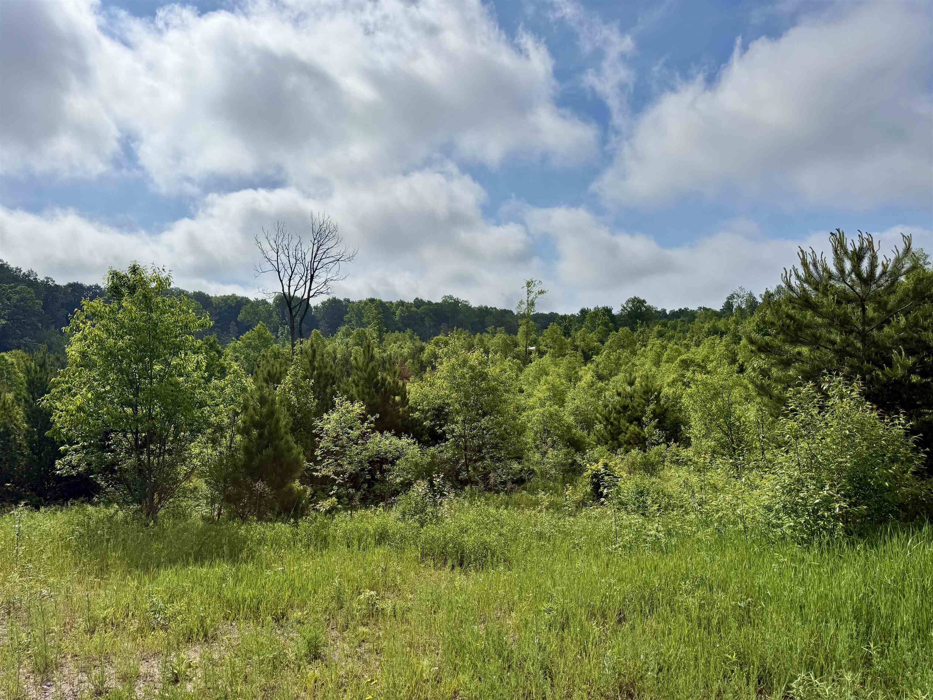 A5 & A9 E Kasson Road Property Photo 25