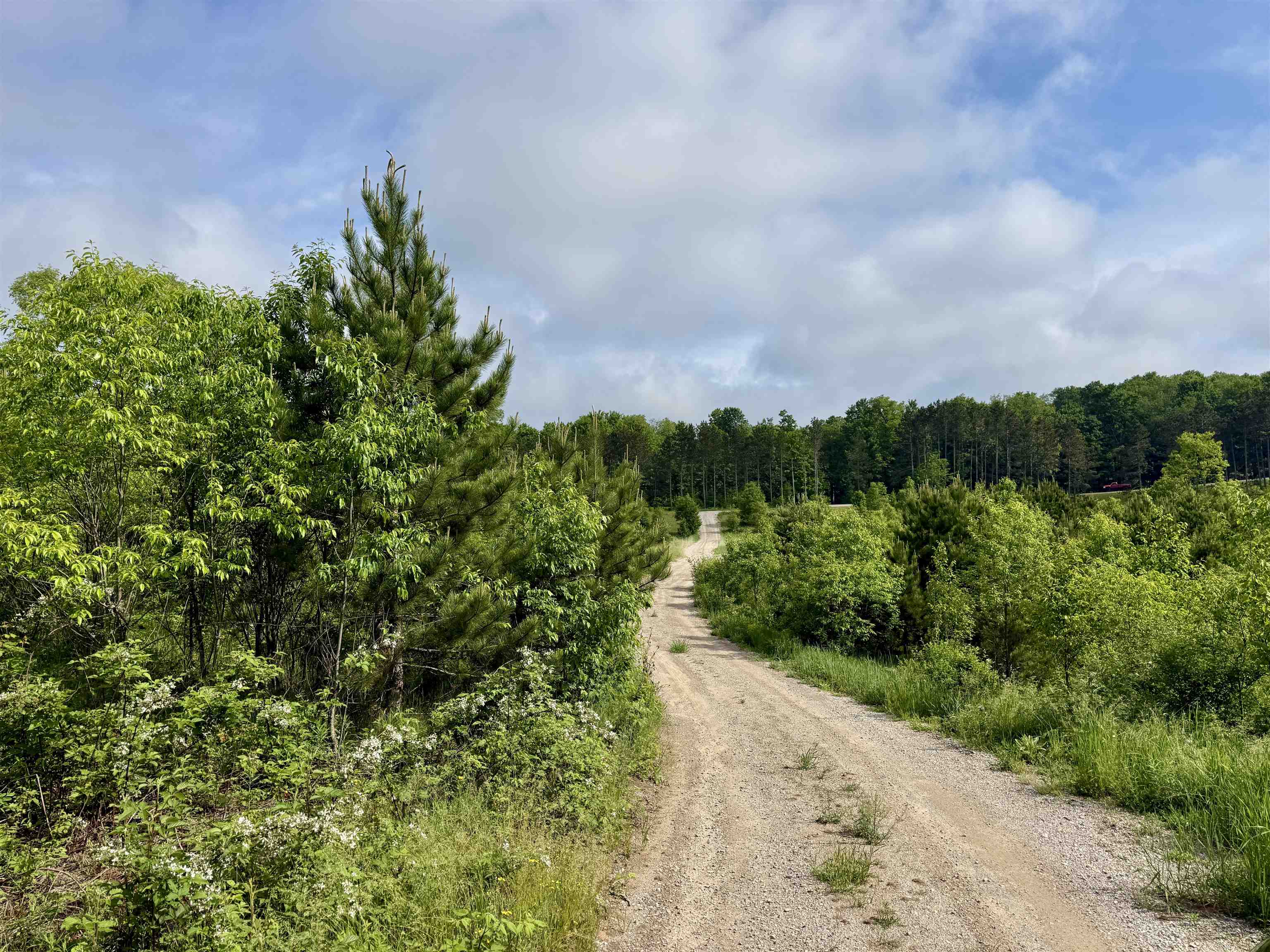 A5 & A9 E Kasson Road Property Photo 26