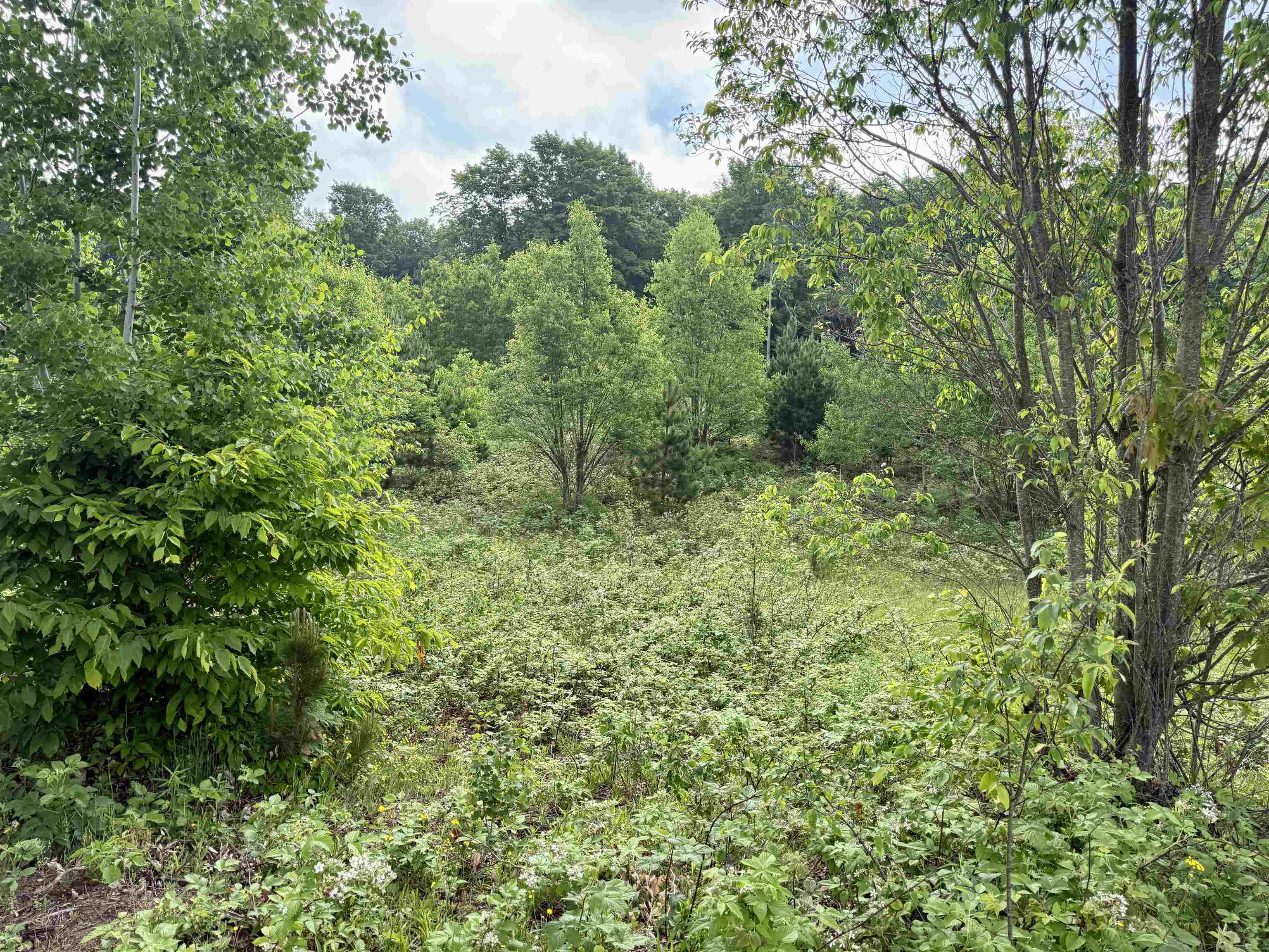 A5 & A9 E Kasson Road Property Photo 32