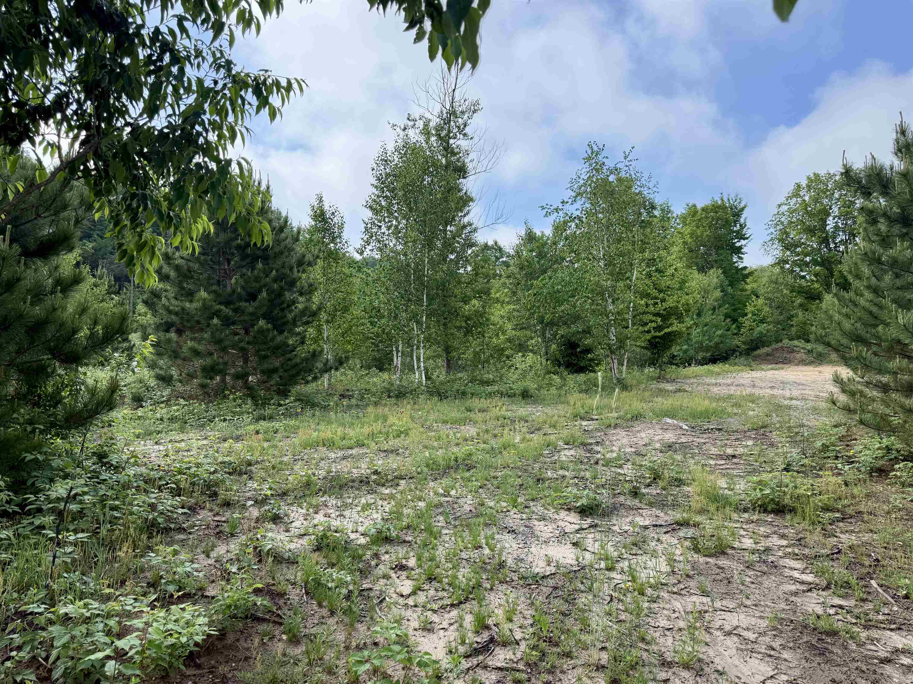 A5 & A9 E Kasson Road Property Photo 33