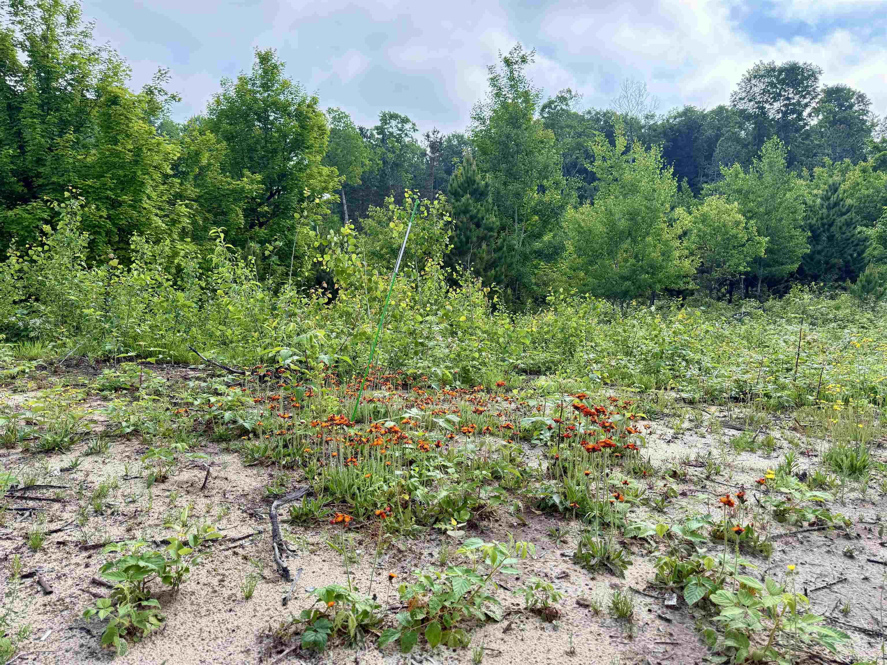A5 & A9 E Kasson Road Property Photo 35