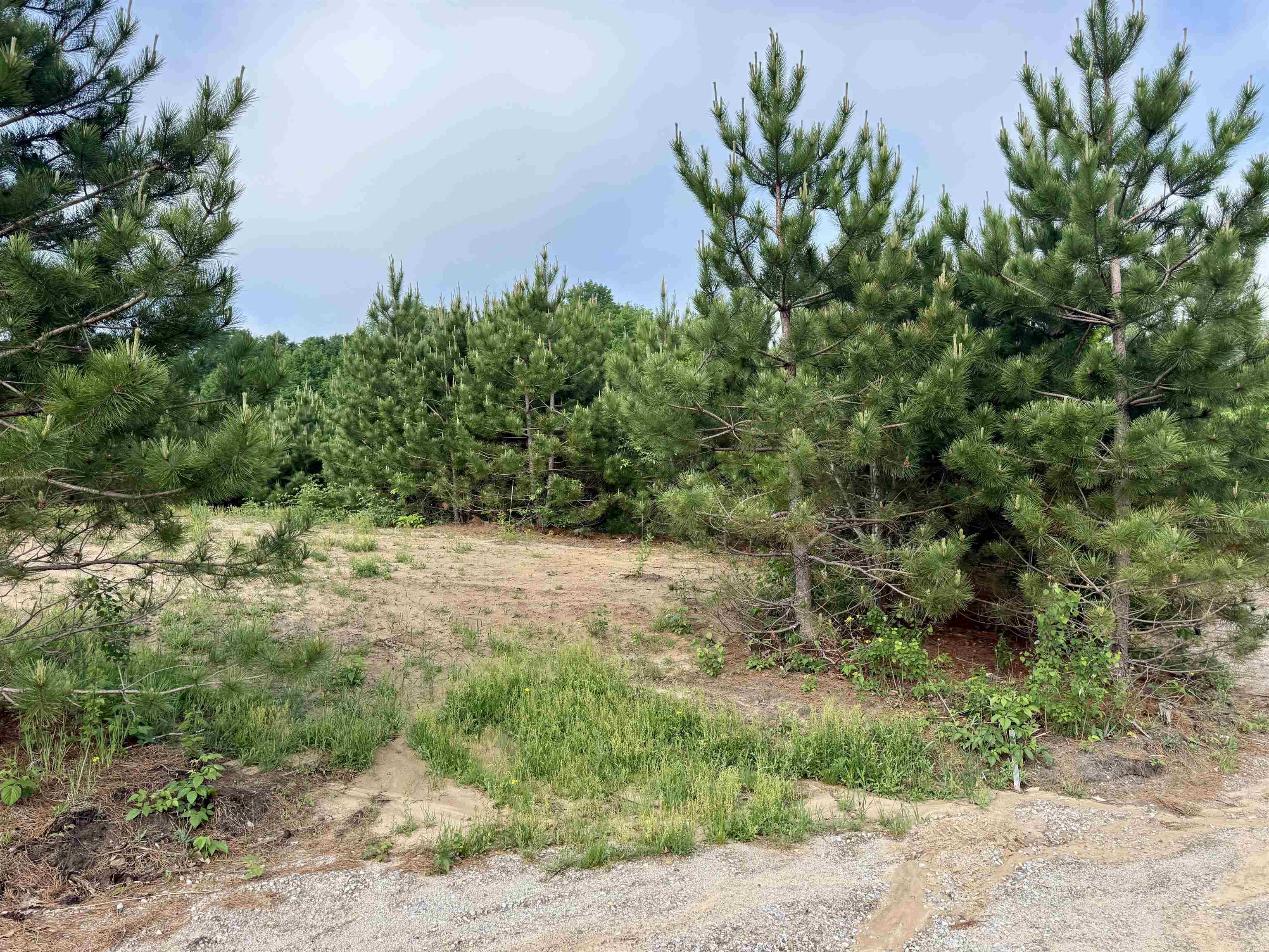 A5 & A9 E Kasson Road Property Photo 36