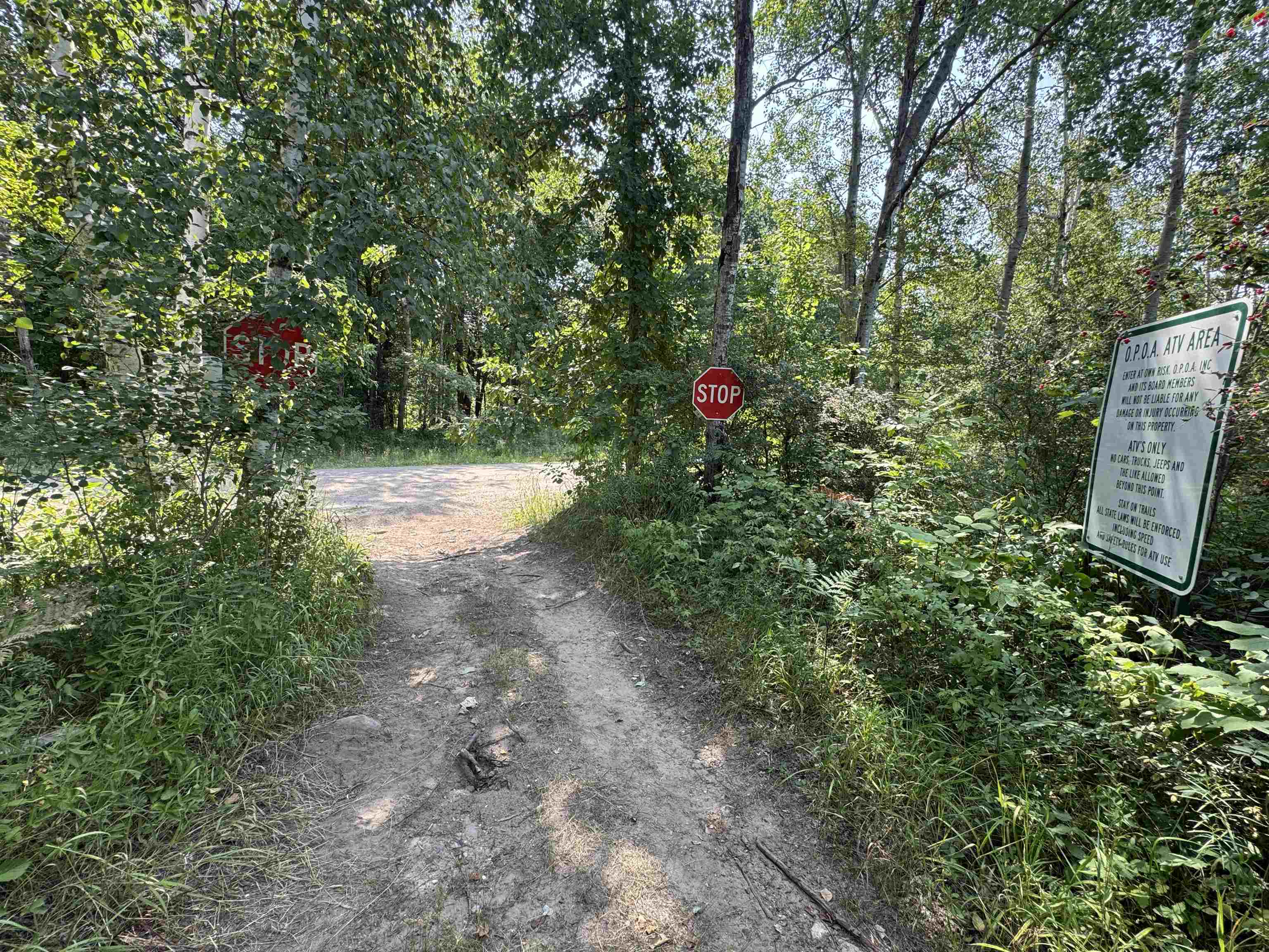 7645 Windoga Lake Drive Property Photo 19