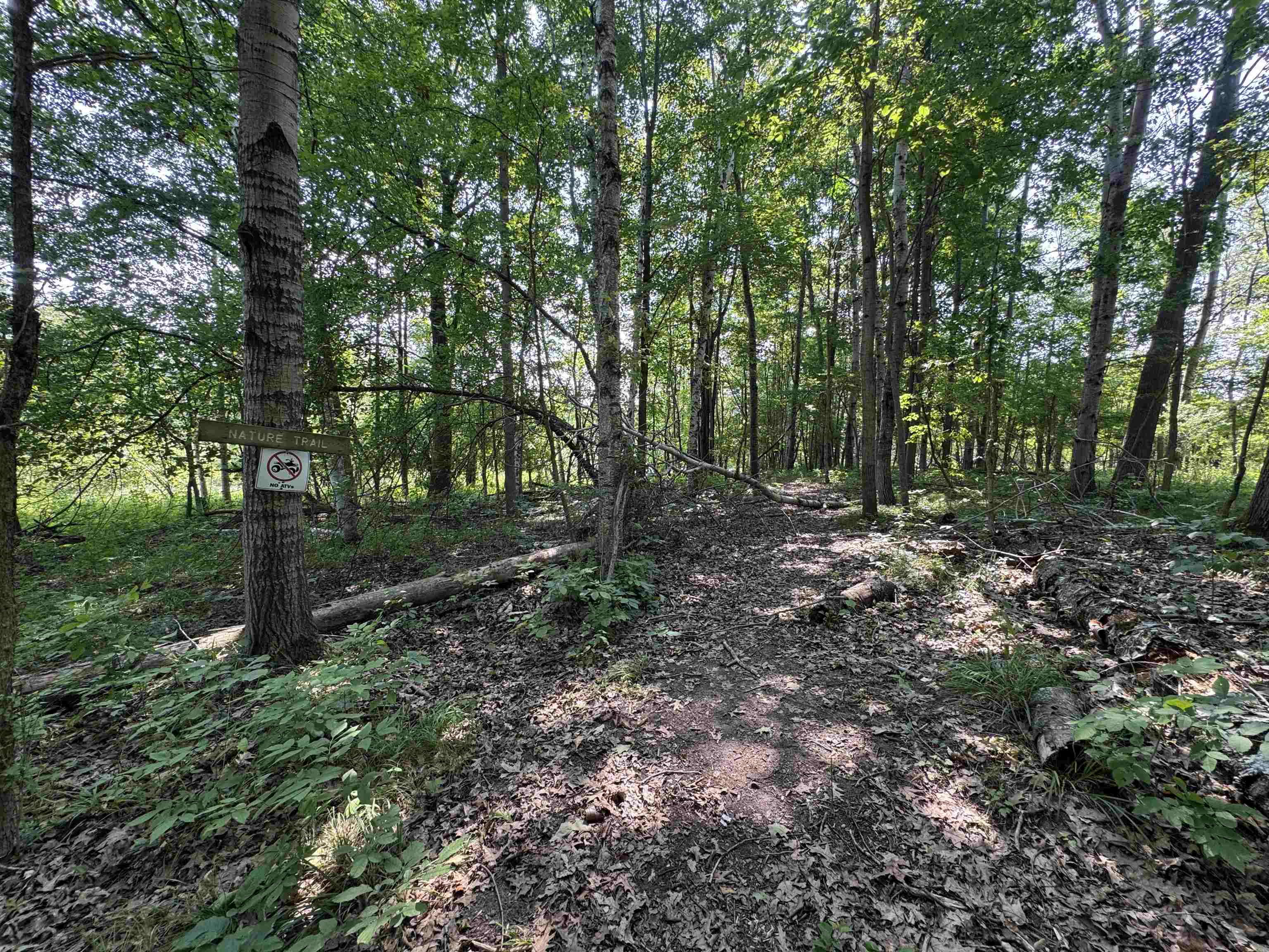 7645 Windoga Lake Drive Property Photo 24