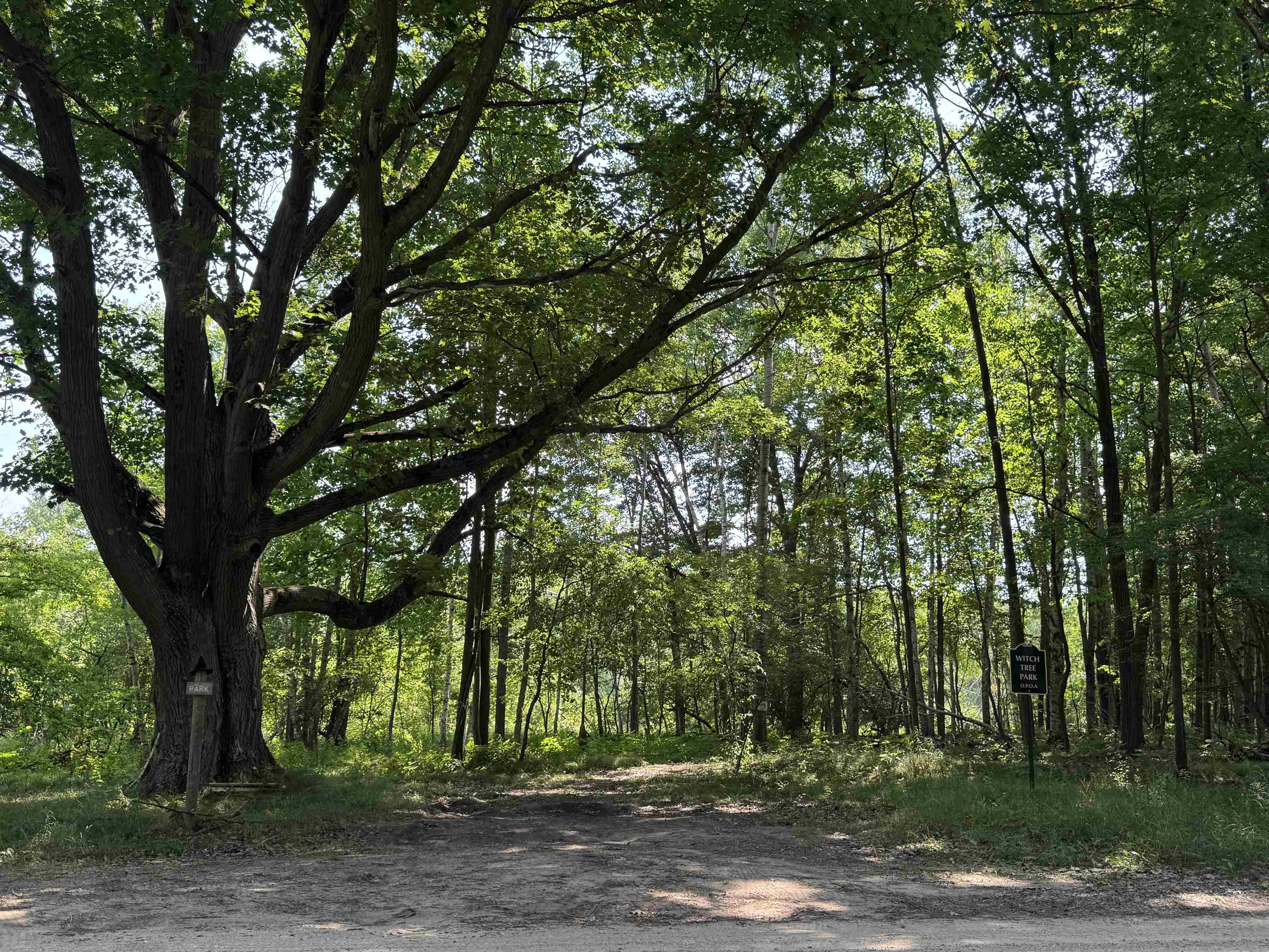 7645 Windoga Lake Drive Property Photo 25