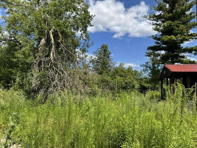 2179 Conrad Road Property Photo 25