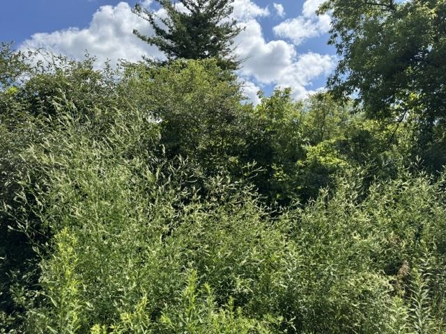2179 Conrad Road Property Photo 28