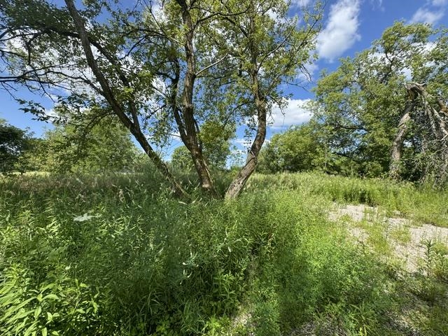 2179 Conrad Road Property Photo 35