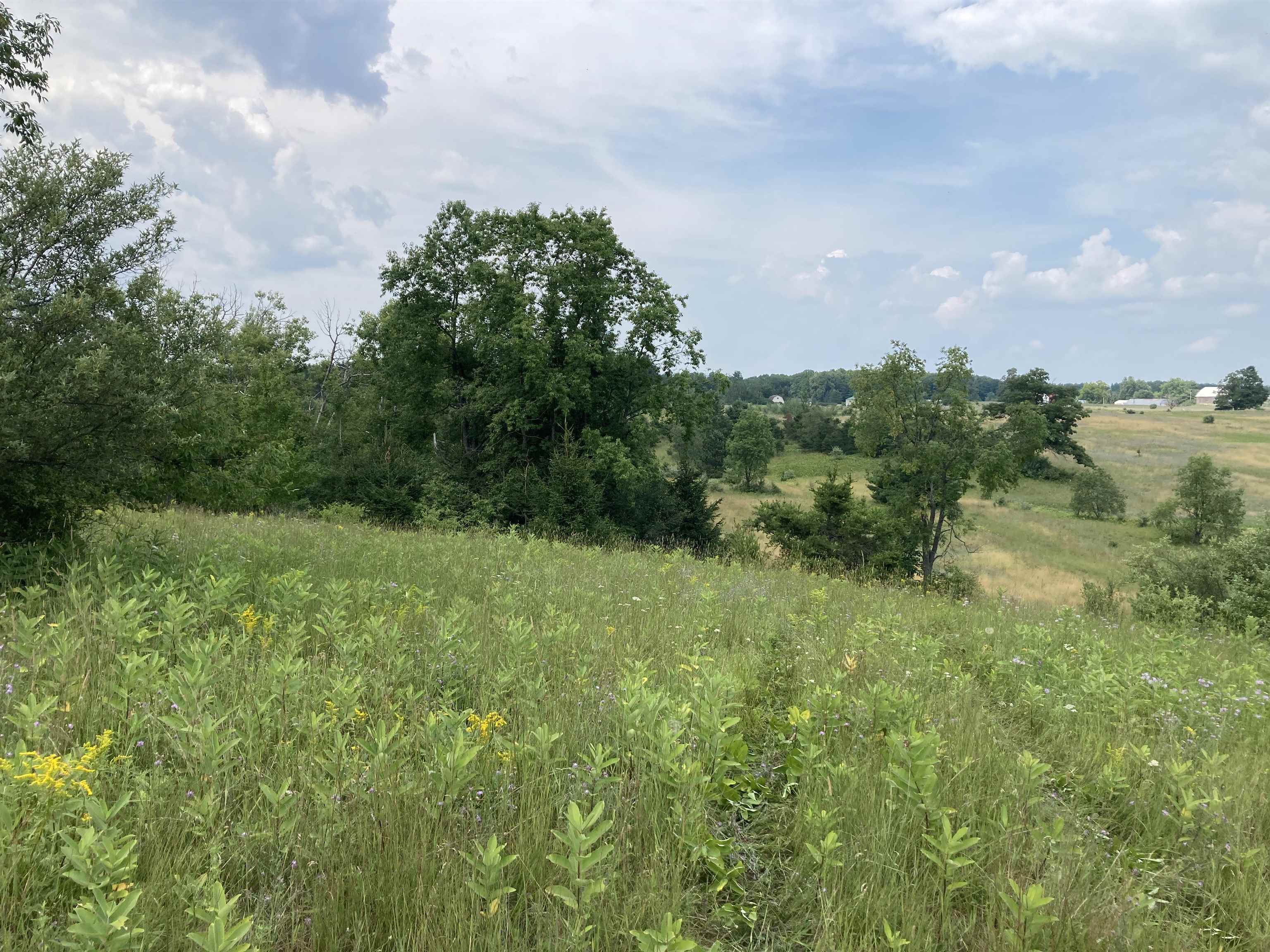 V/l-20a-m/l Mayhew Road Property Photo 1