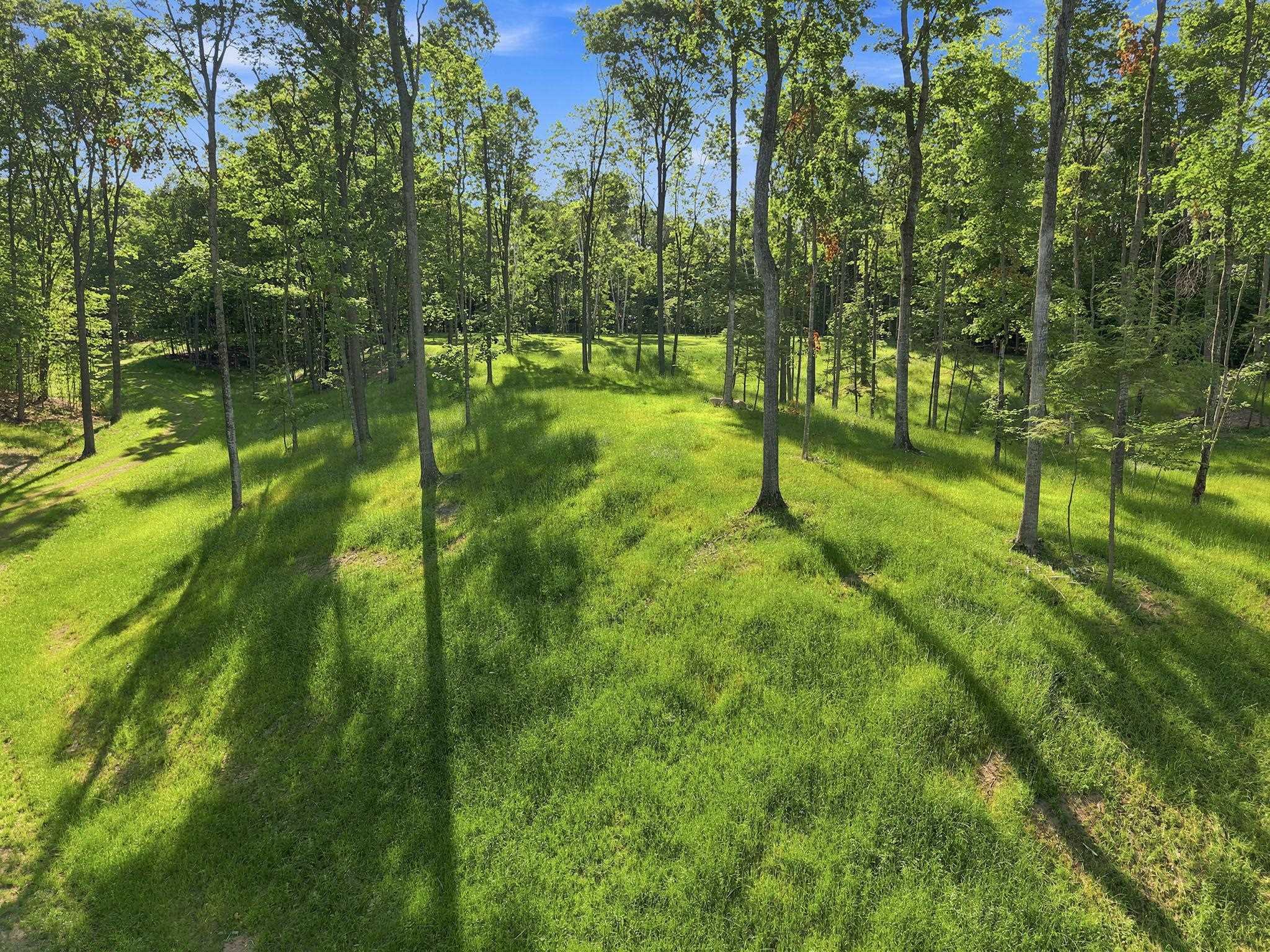 18502 Peninsula Drive Property Photo 15
