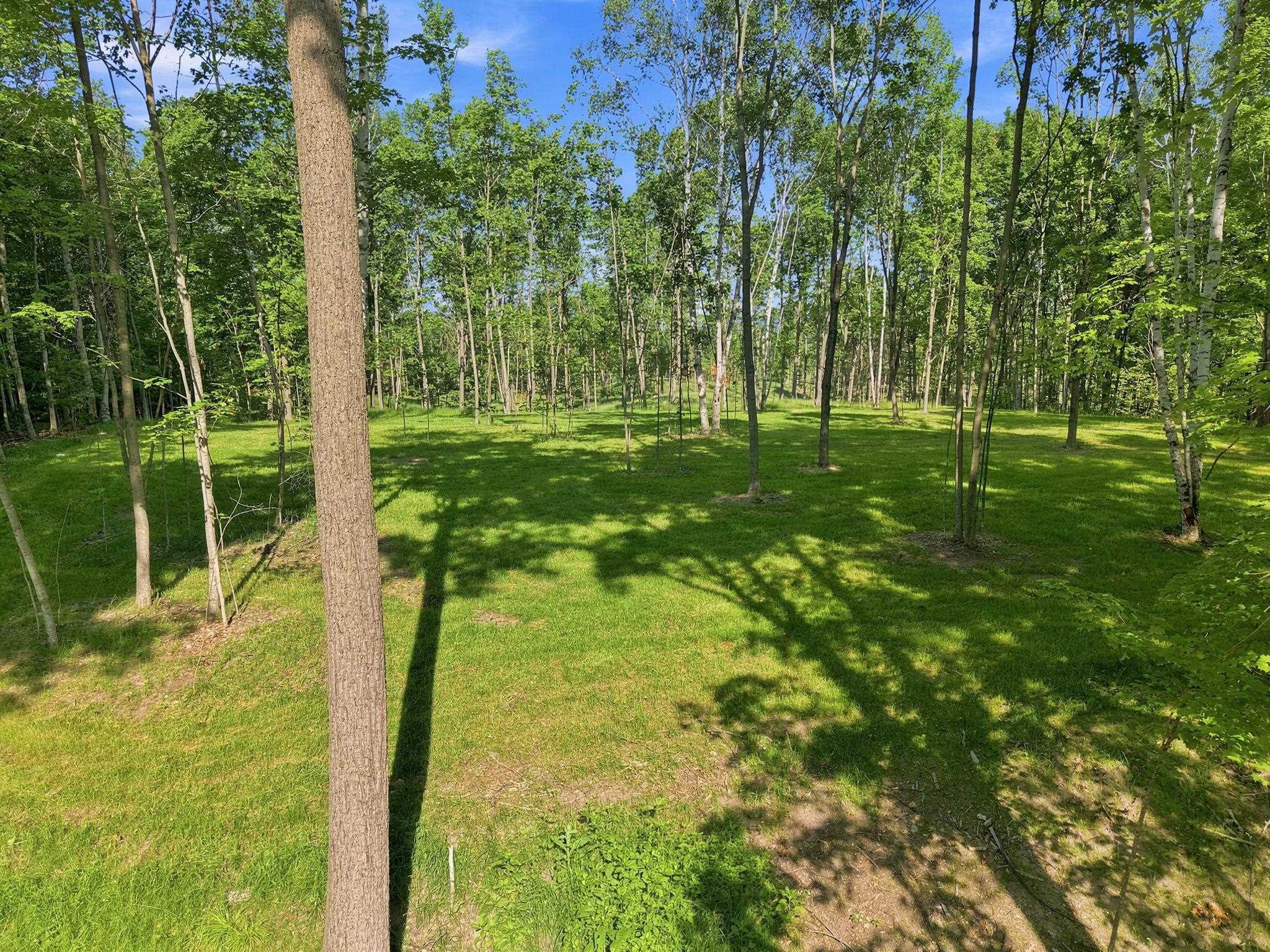 18502 Peninsula Drive Property Photo 16