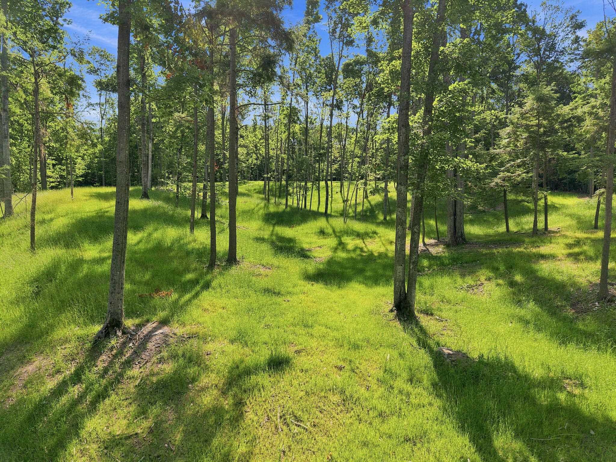 18502 Peninsula Drive Property Photo 22