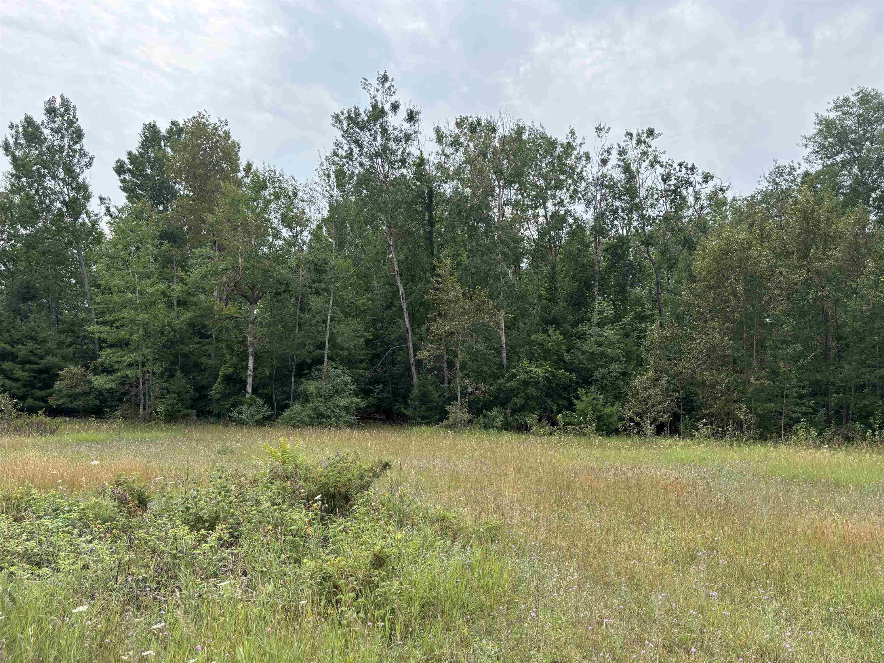 0 Lore Road Property Photo 2