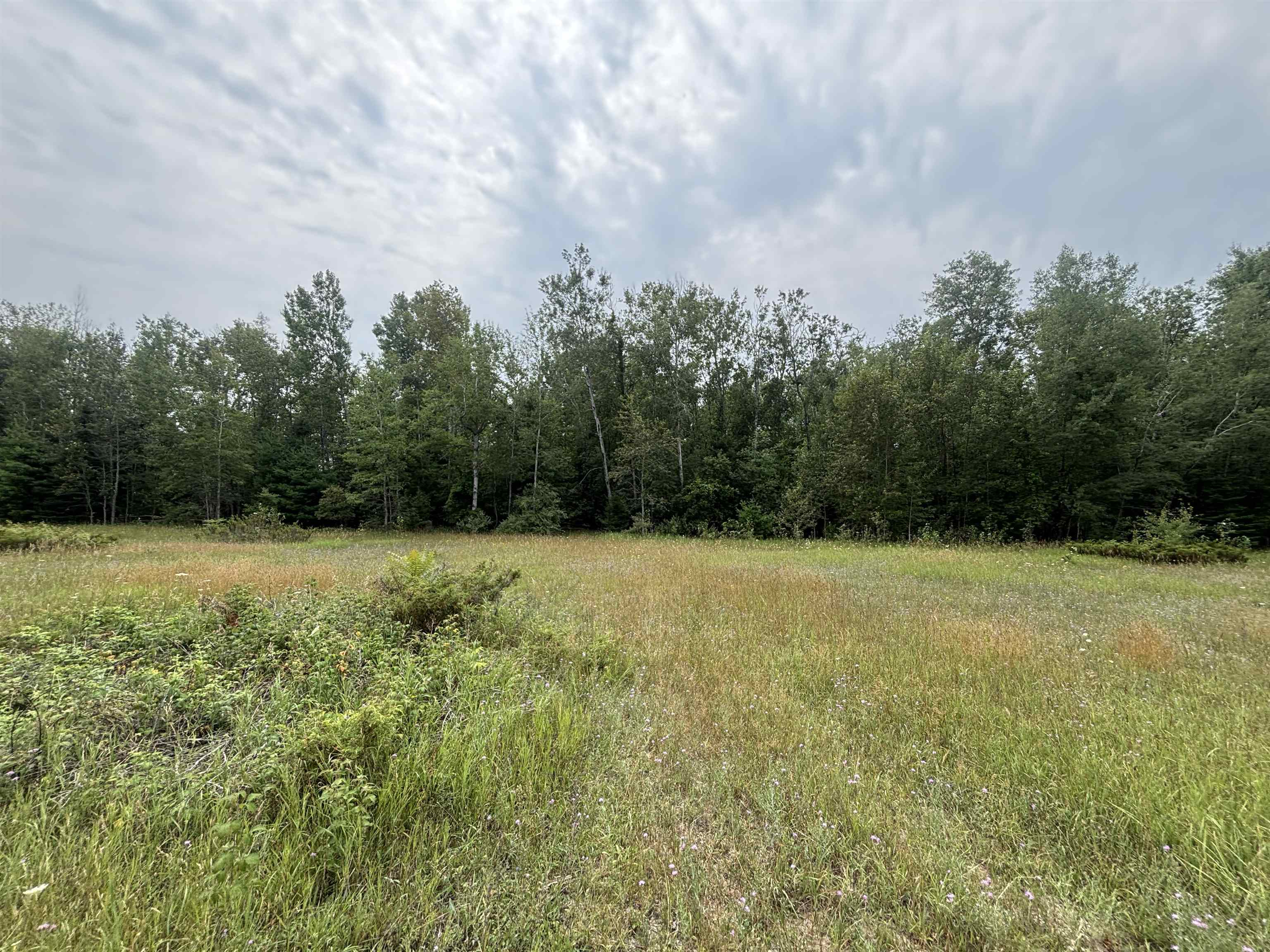 0 Lore Road Property Photo 16